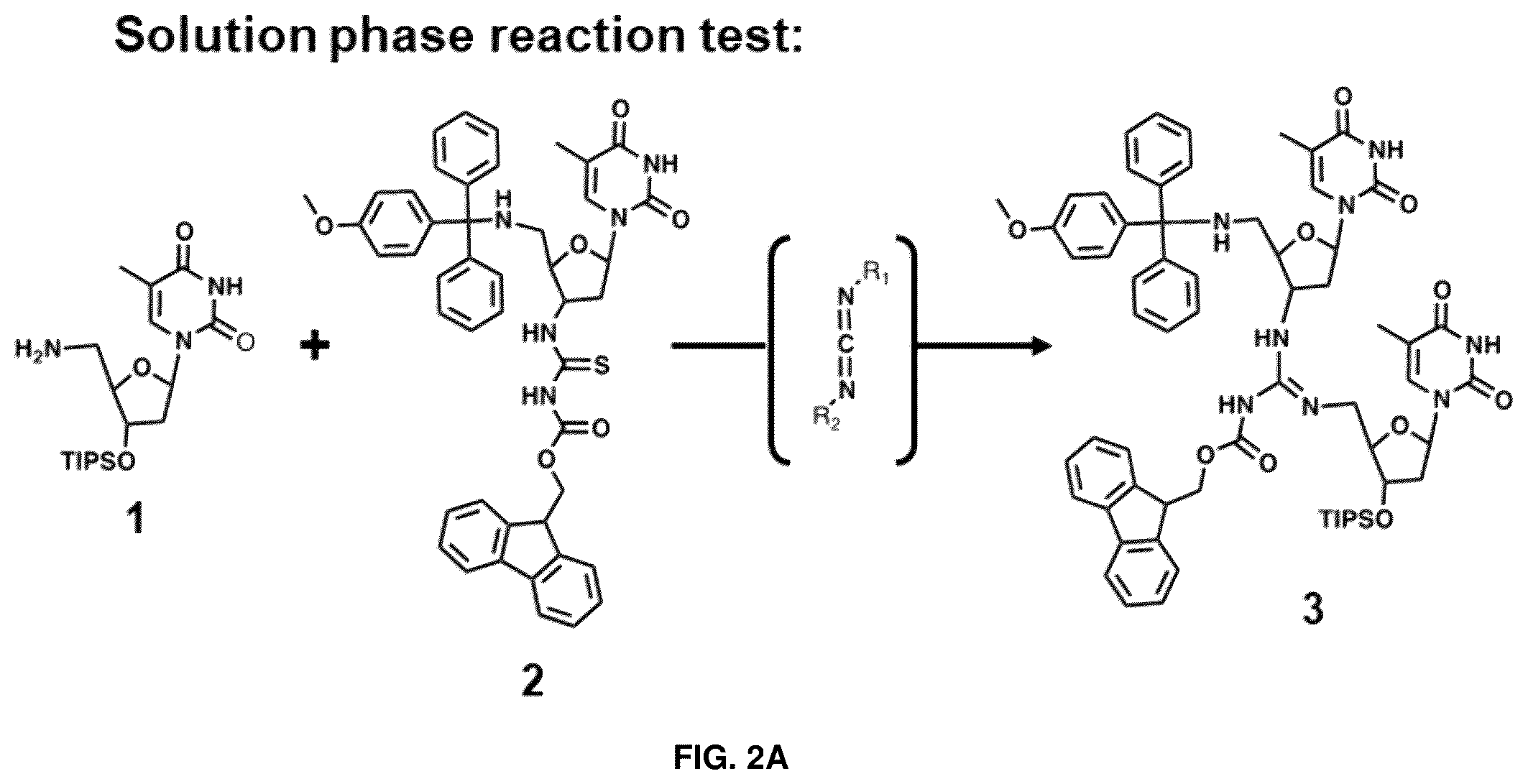 Patent US12378280 Figure 2 – Deoxynucleic guanidines (DNG)-modified oligonucleotides and methods of synthesizing deoxynucleic guanidine strands
