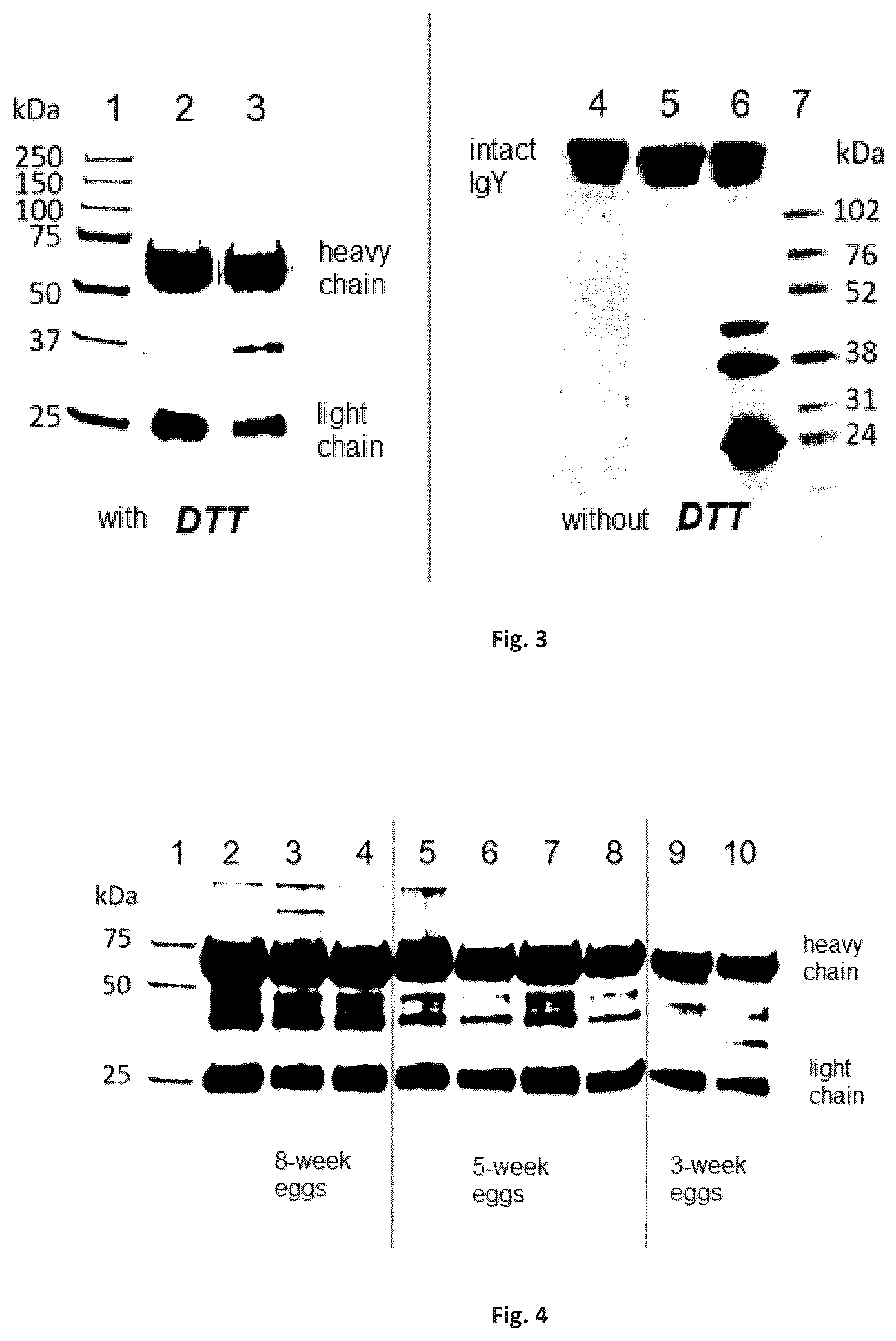 Patent US12378283 Figure 3 – Process for purifying an antibody from egg yolk, products and uses thereof