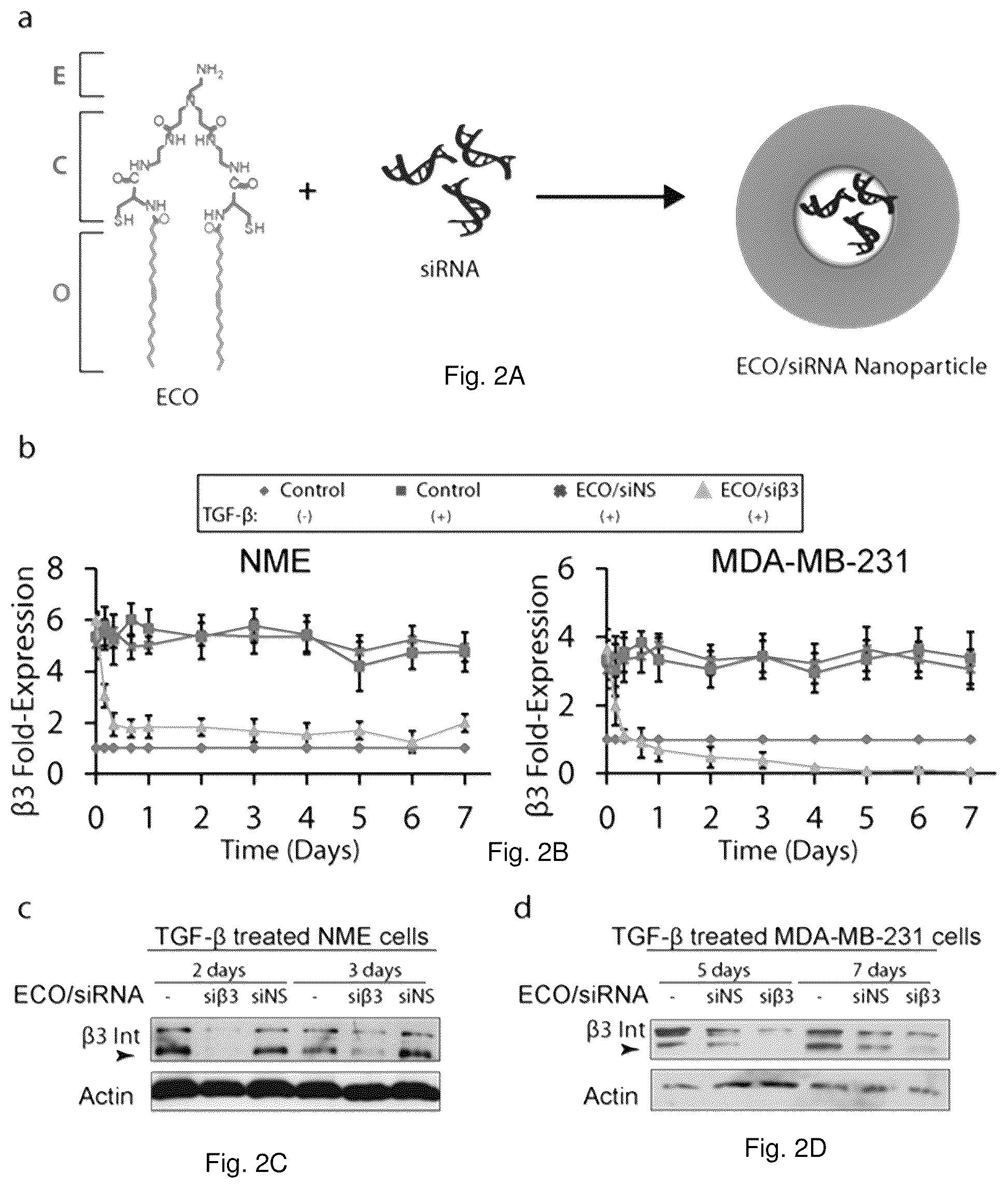 Patent US12378284 Figure 2 – Compositions and methods for the delivery of nucleic acids
