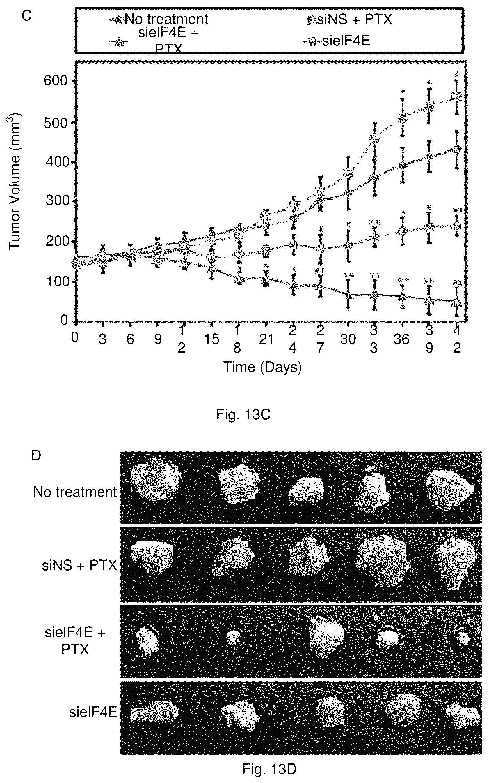 Patent US12378284 Figure 13 – Compositions and methods for the delivery of nucleic acids