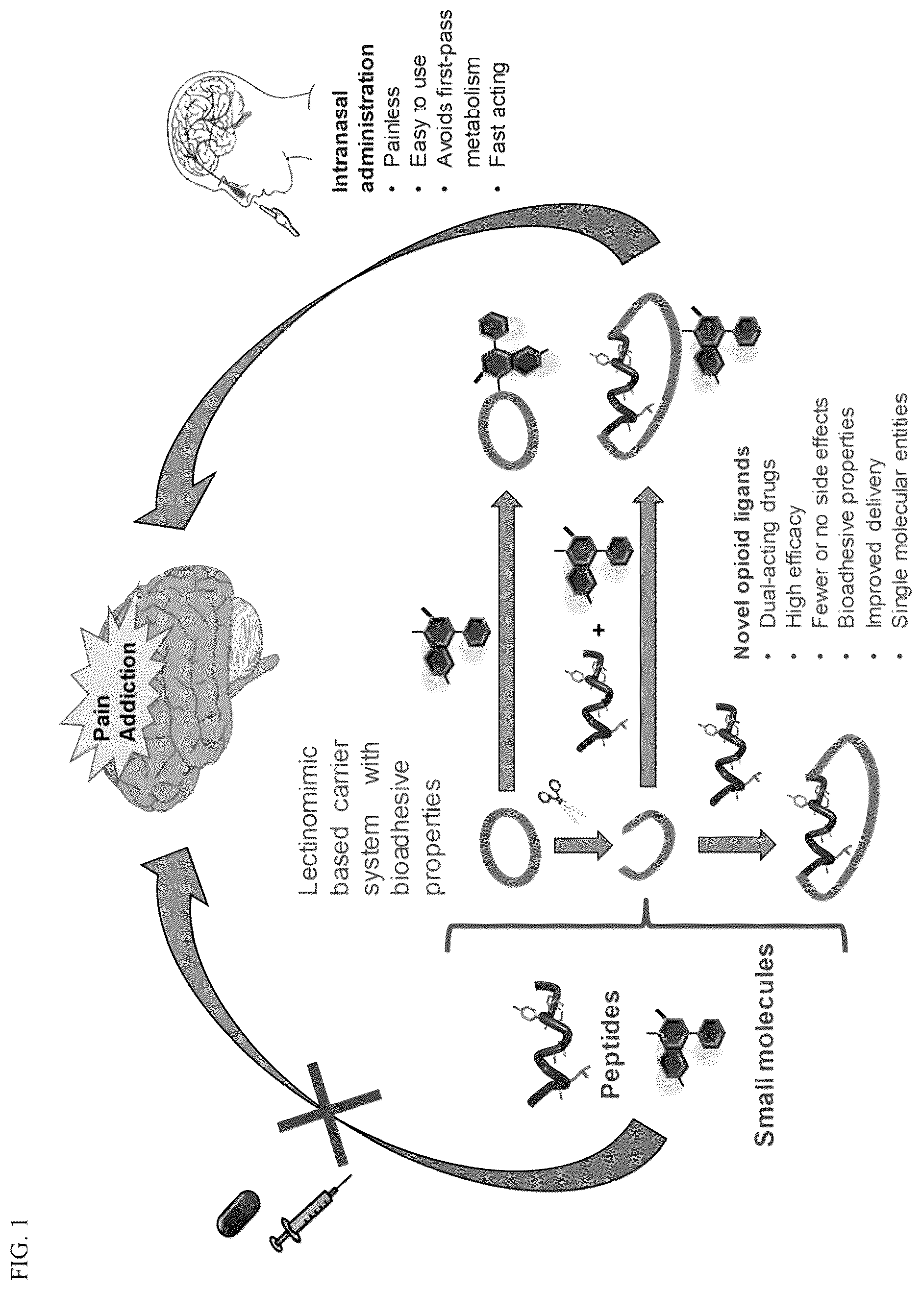 Patent US12378285 Figure 1 – Cyclic peptides and cyclic peptide conjugates for treating neurological disorders