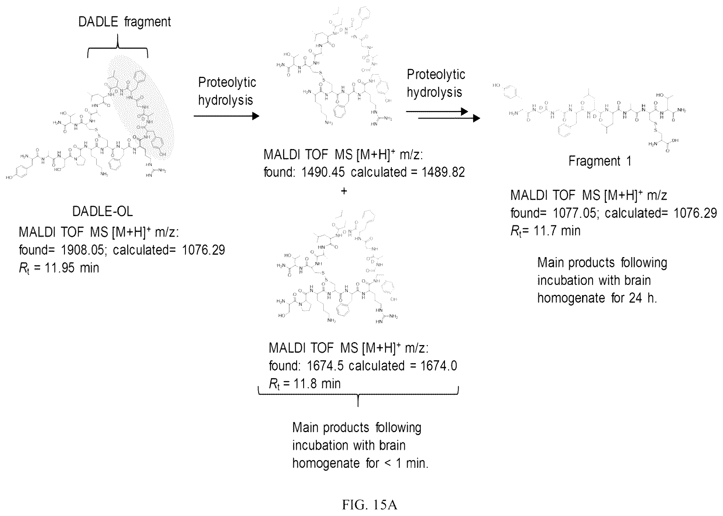 Patent US12378285 Figure 18 – Cyclic peptides and cyclic peptide conjugates for treating neurological disorders