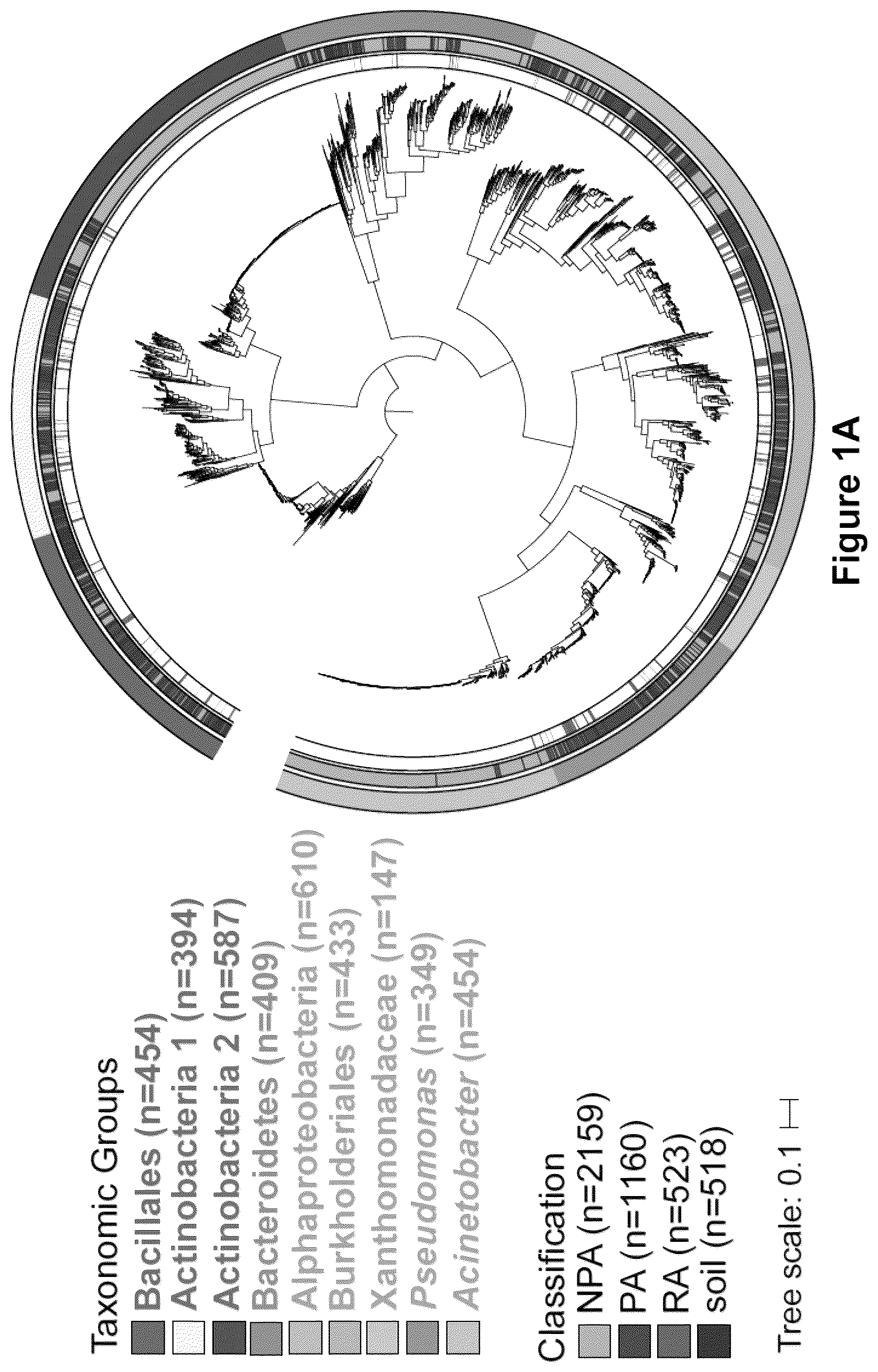 Patent US12378286 Figure 1 – Methods and compositions useful for inhibiting growth of certain bacteria