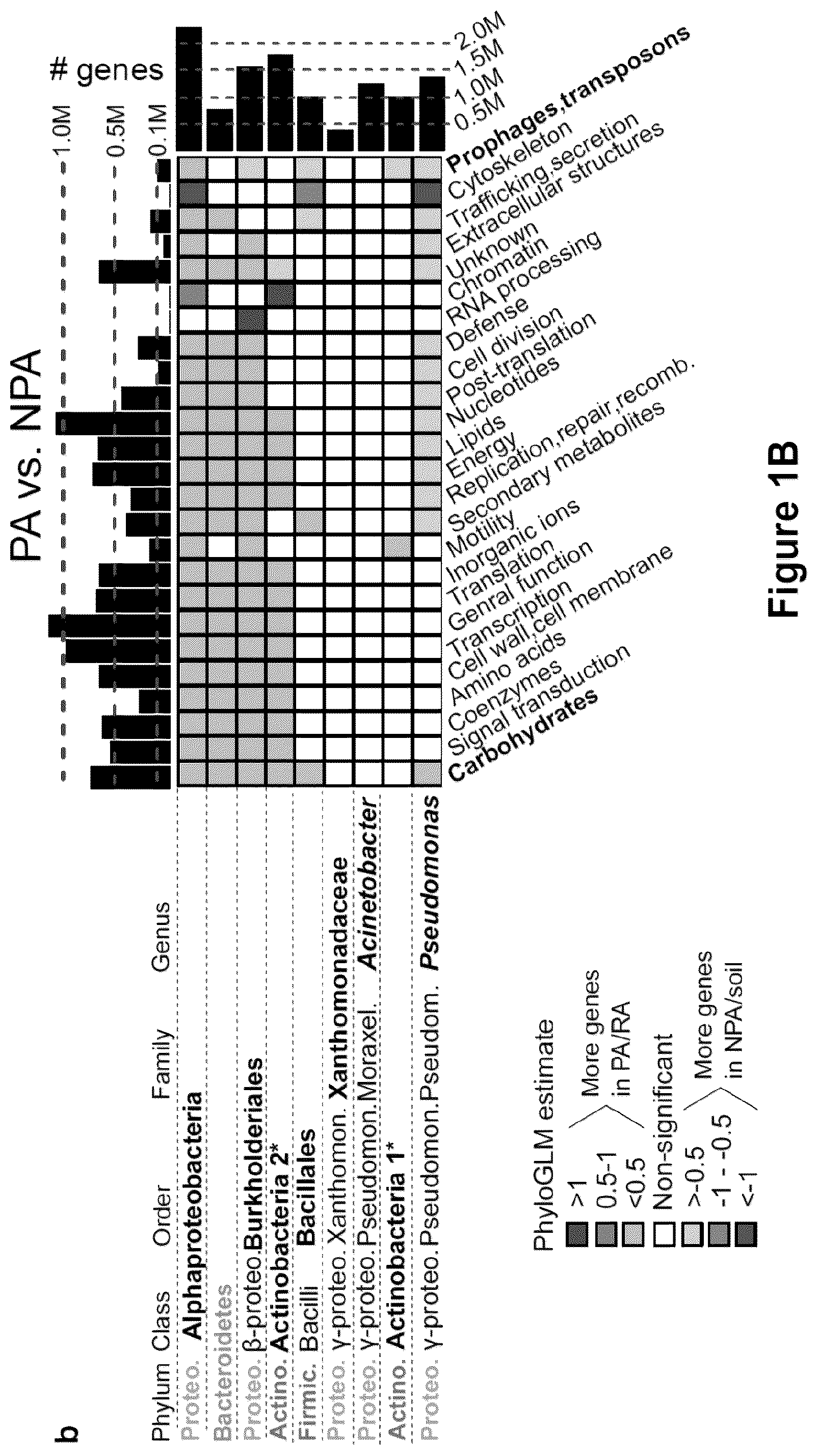 Patent US12378286 Figure 2 – Methods and compositions useful for inhibiting growth of certain bacteria