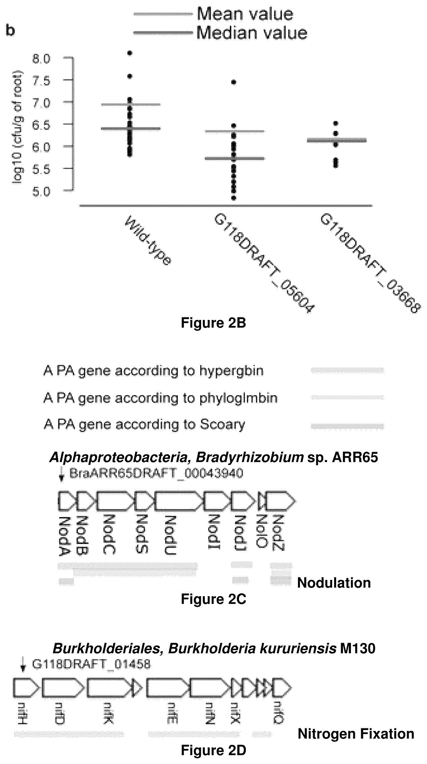 Patent US12378286 Figure 5 – Methods and compositions useful for inhibiting growth of certain bacteria