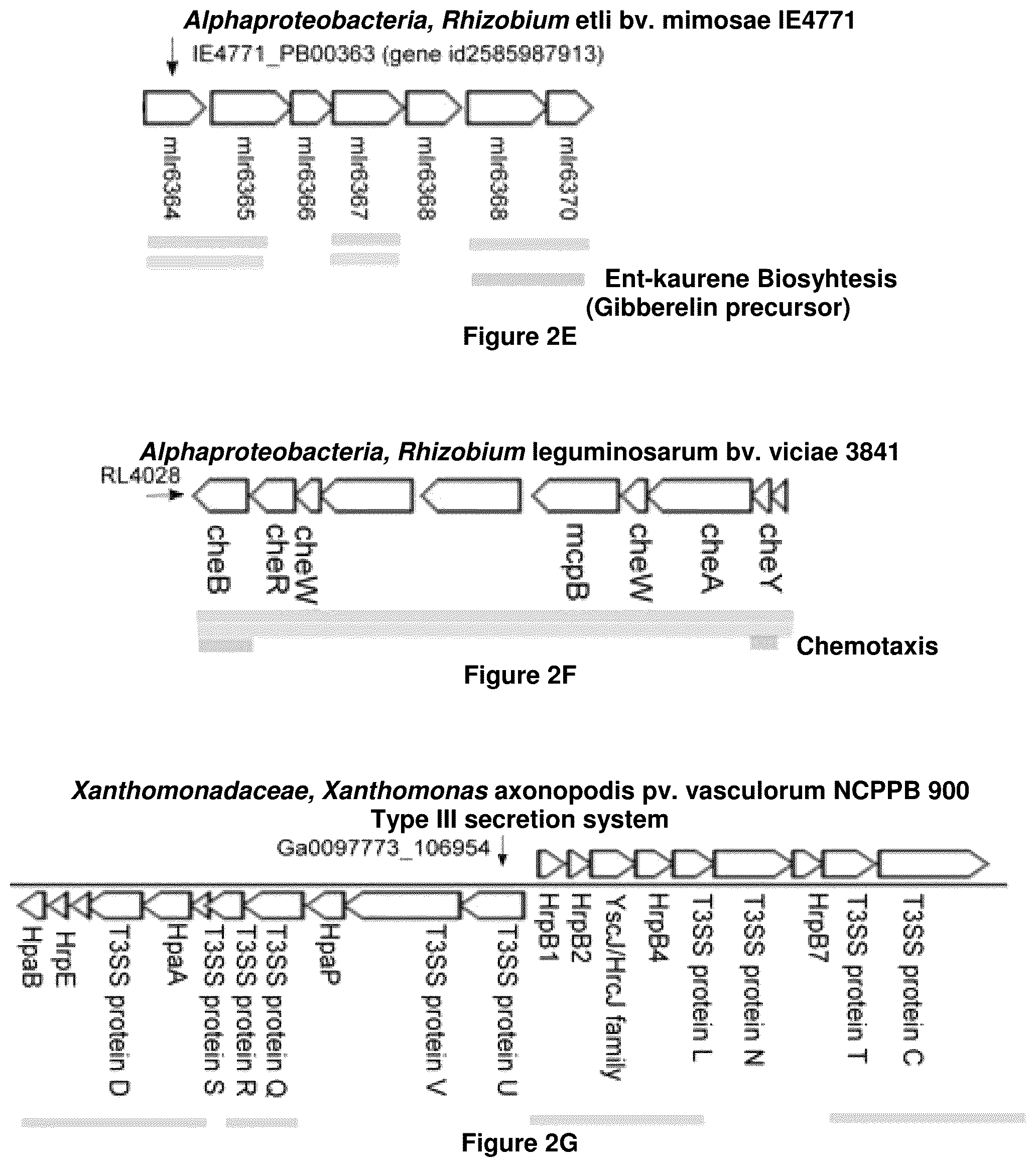 Patent US12378286 Figure 6 – Methods and compositions useful for inhibiting growth of certain bacteria
