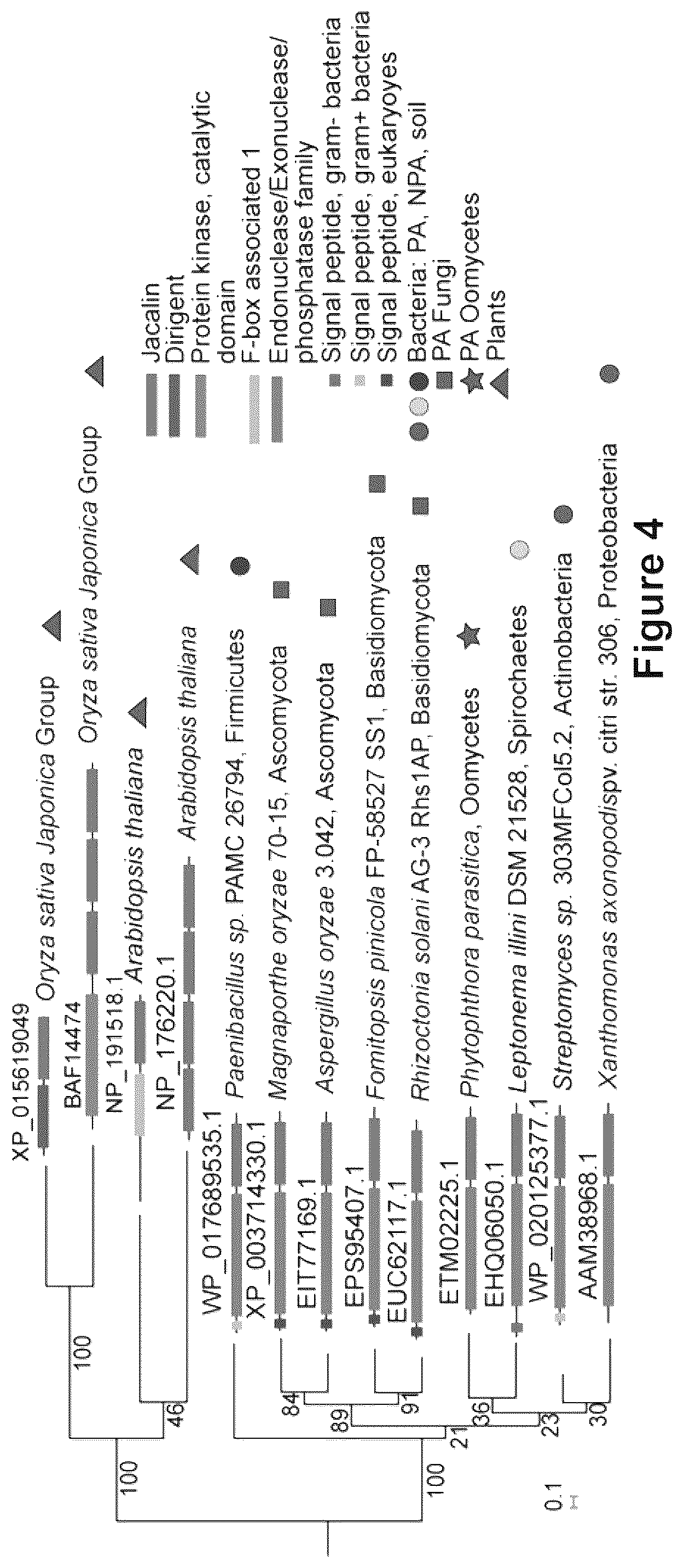 Patent US12378286 Figure 10 – Methods and compositions useful for inhibiting growth of certain bacteria