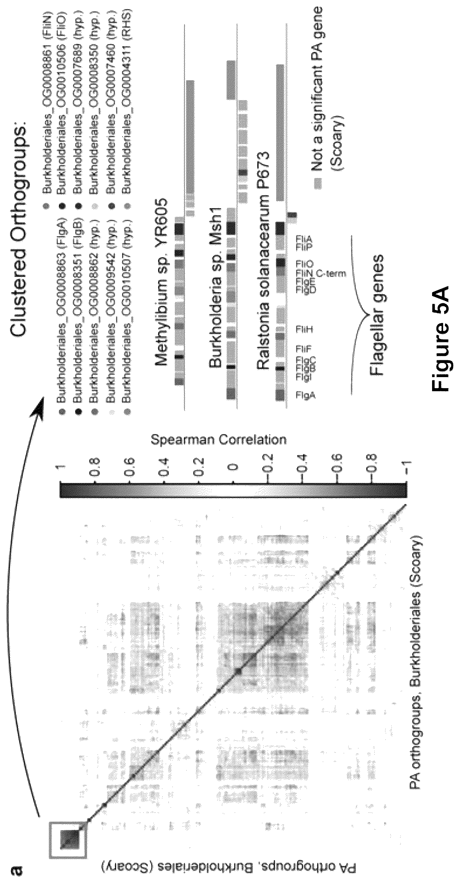 Patent US12378286 Figure 11 – Methods and compositions useful for inhibiting growth of certain bacteria
