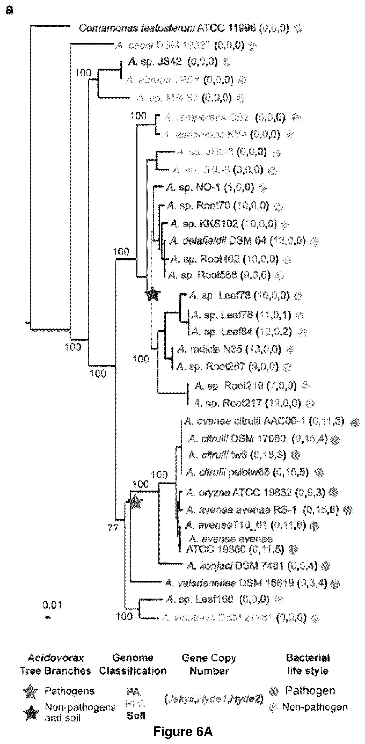 Patent US12378286 Figure 13 – Methods and compositions useful for inhibiting growth of certain bacteria