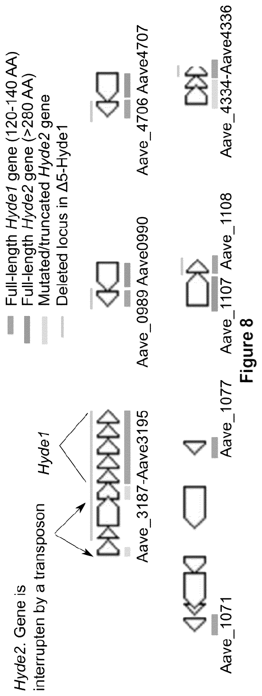 Patent US12378286 Figure 17 – Methods and compositions useful for inhibiting growth of certain bacteria