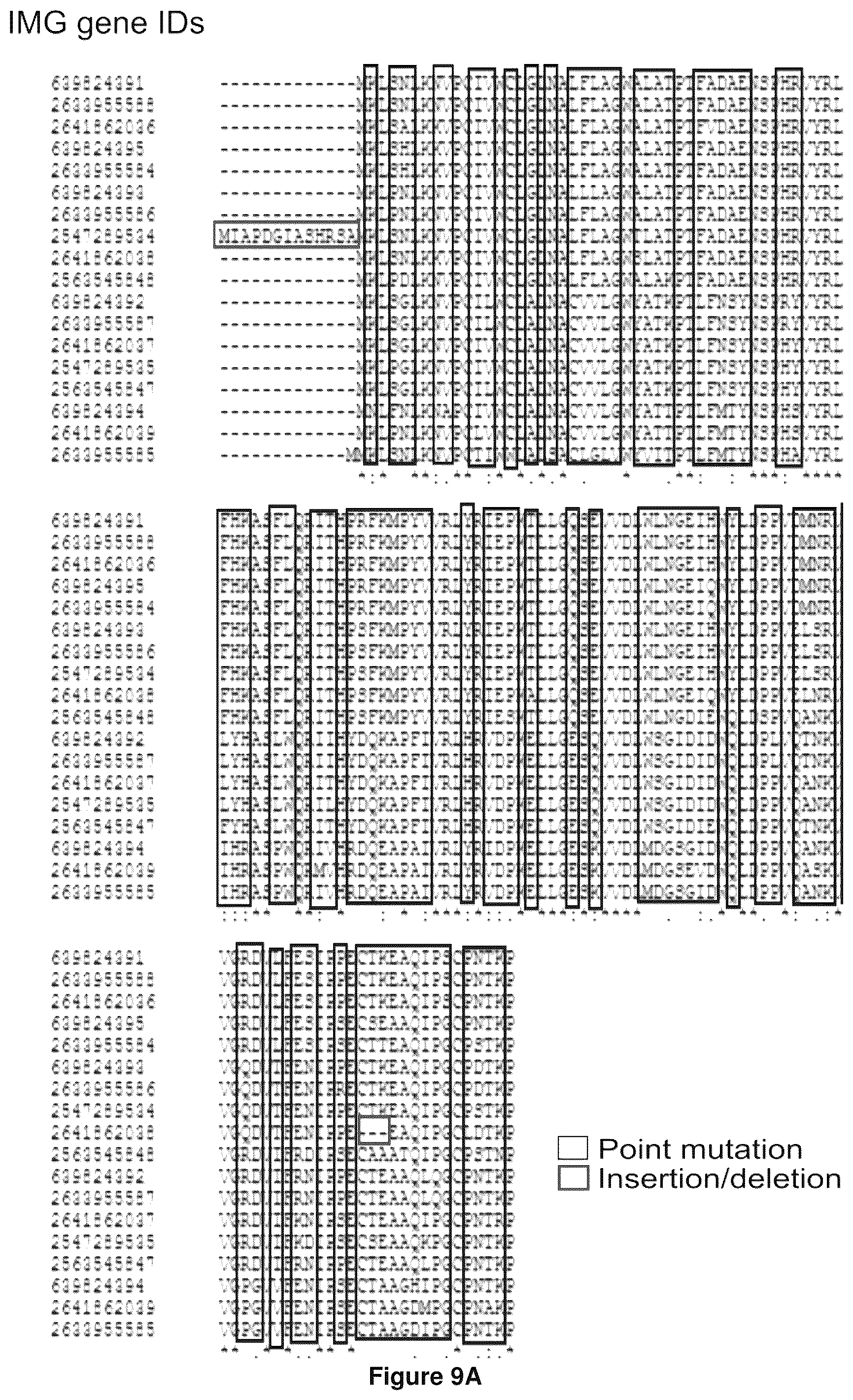 Patent US12378286 Figure 18 – Methods and compositions useful for inhibiting growth of certain bacteria