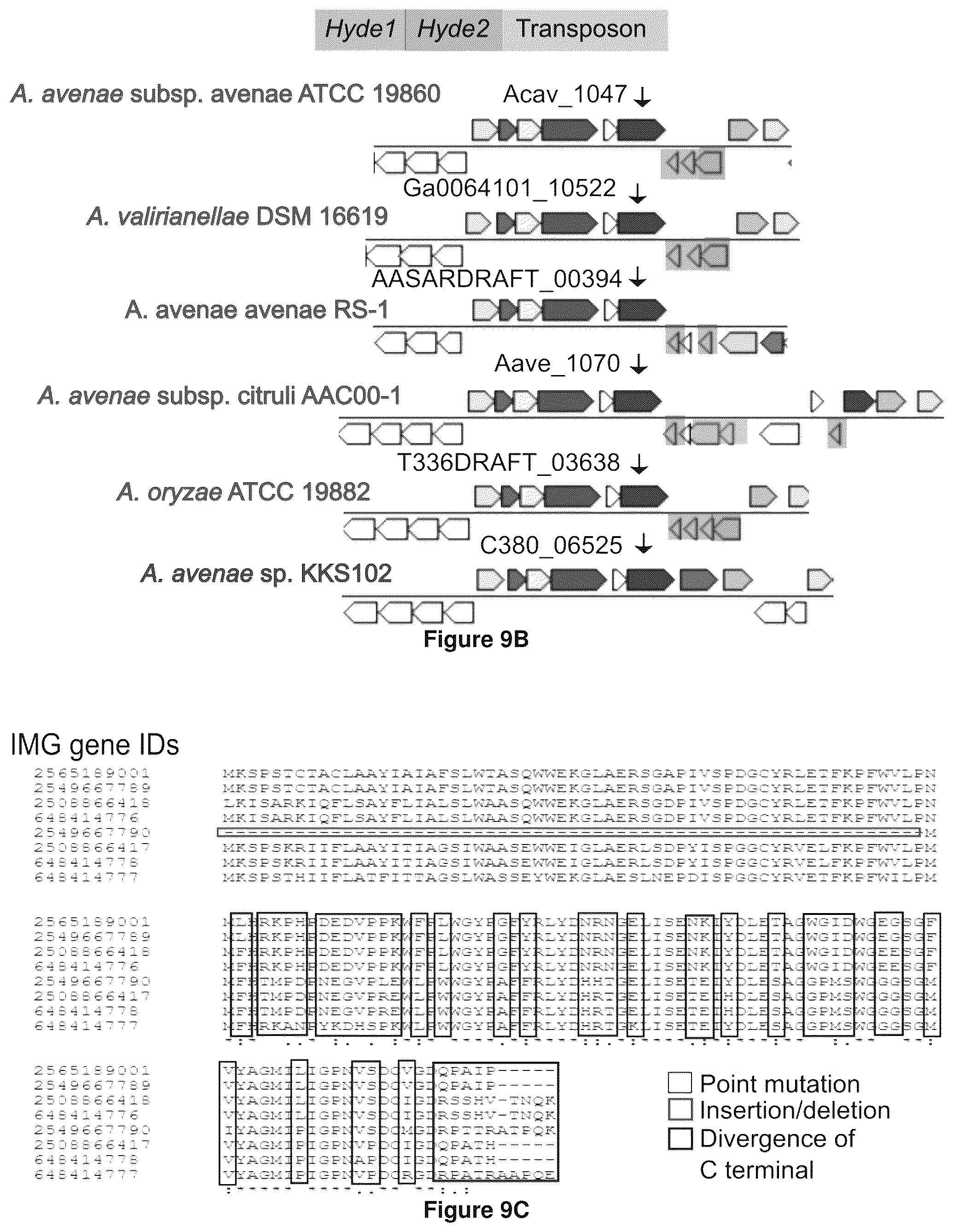 Patent US12378286 Figure 19 – Methods and compositions useful for inhibiting growth of certain bacteria