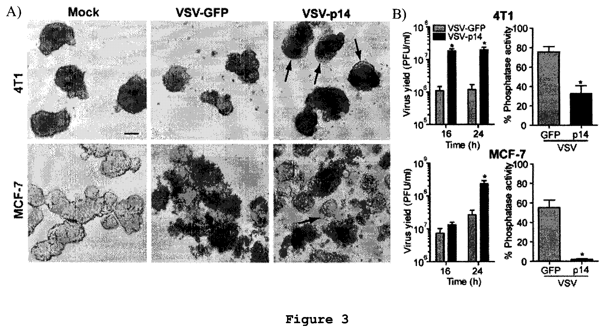 Patent US12378289 Figure 3 – Recombinant oncolytic viruses for treatment of metastatic cancers