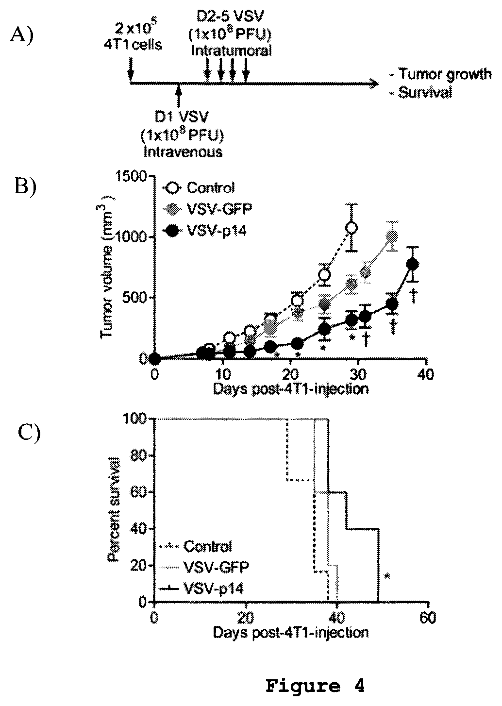 Patent US12378289 Figure 4 – Recombinant oncolytic viruses for treatment of metastatic cancers