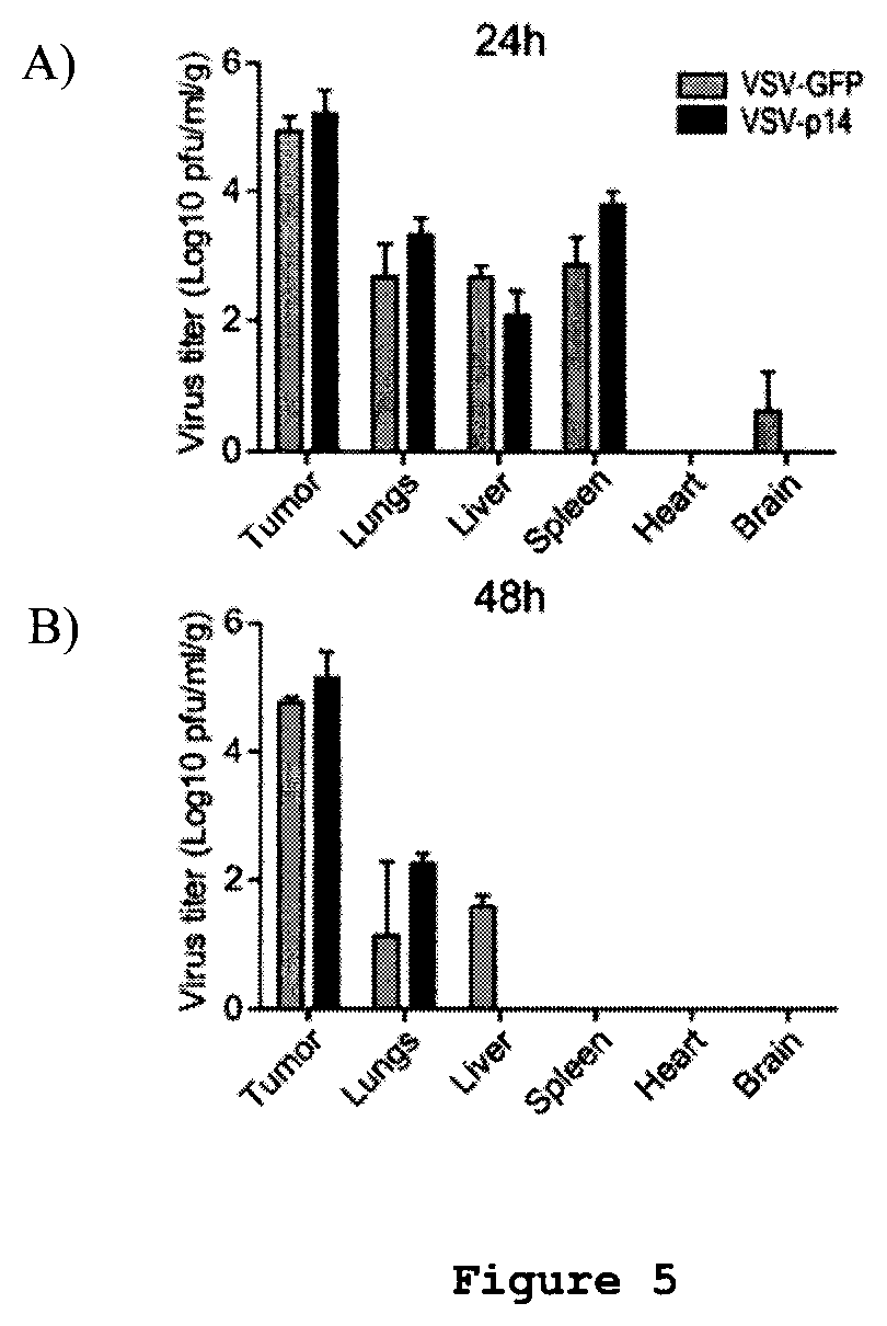 Patent US12378289 Figure 5 – Recombinant oncolytic viruses for treatment of metastatic cancers