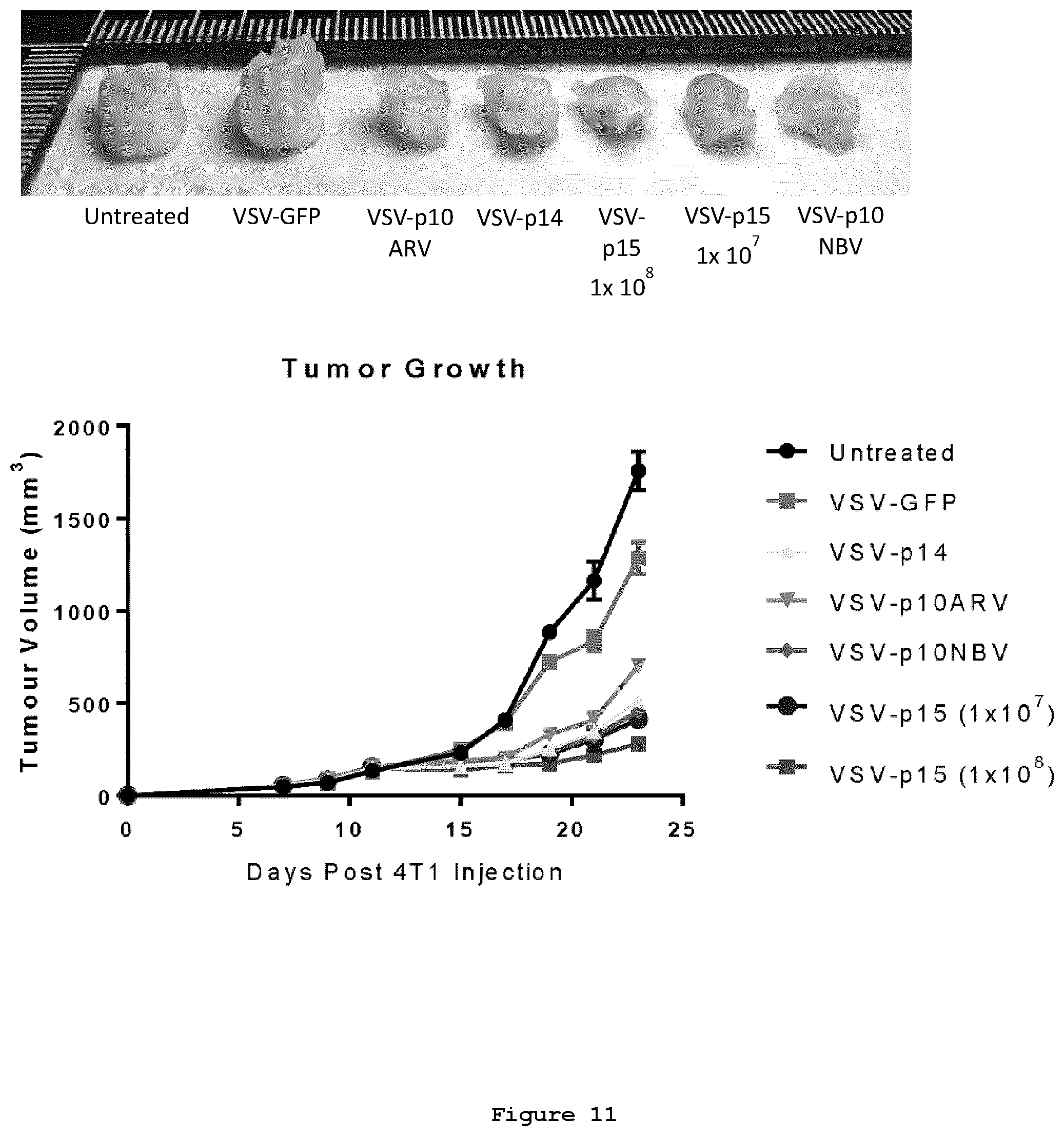 Patent US12378289 Figure 11 – Recombinant oncolytic viruses for treatment of metastatic cancers