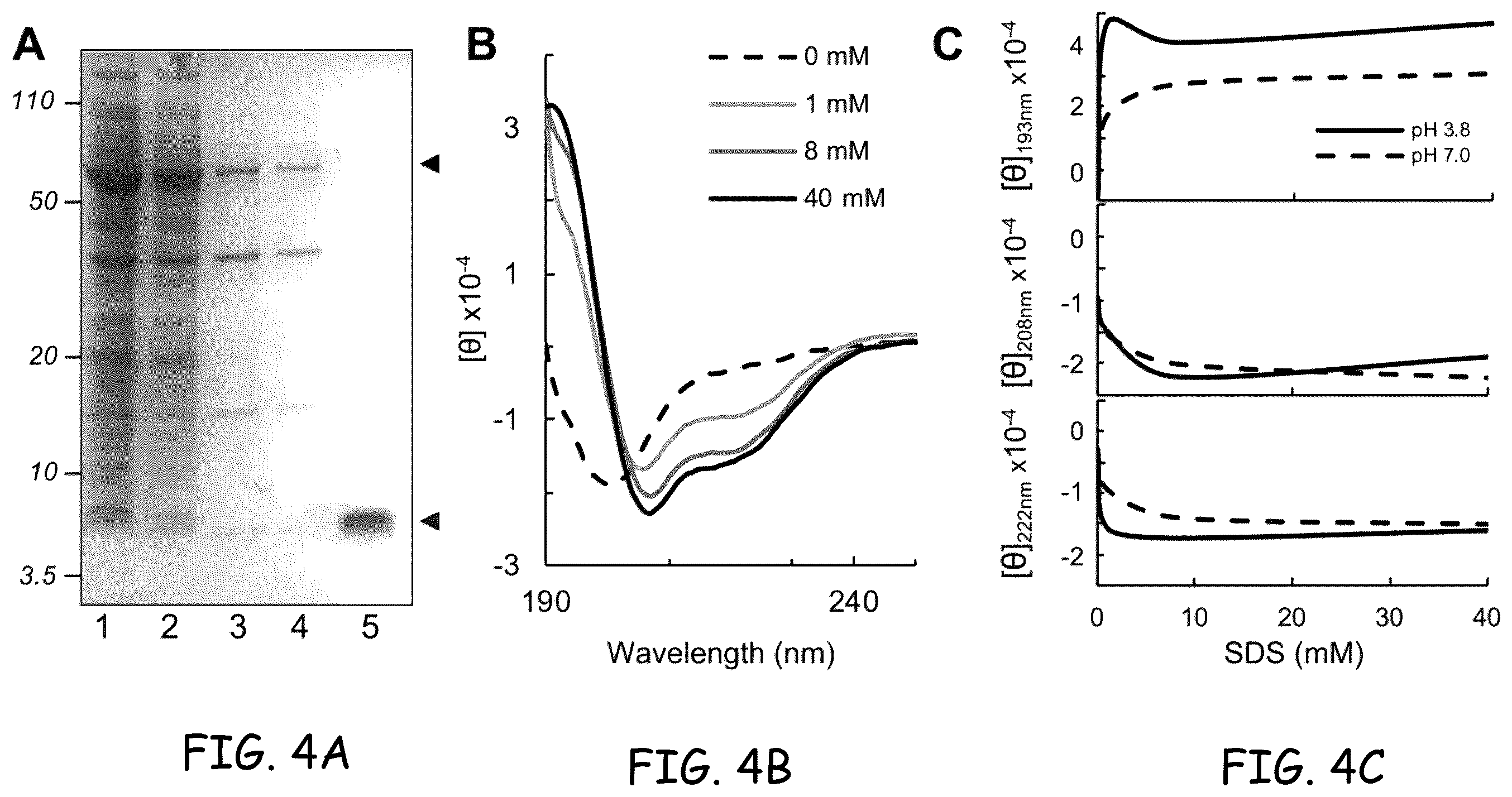 Patent US12378290 Figure 4 – Method for protein nanowire synthesis and tunable control of nanowire length