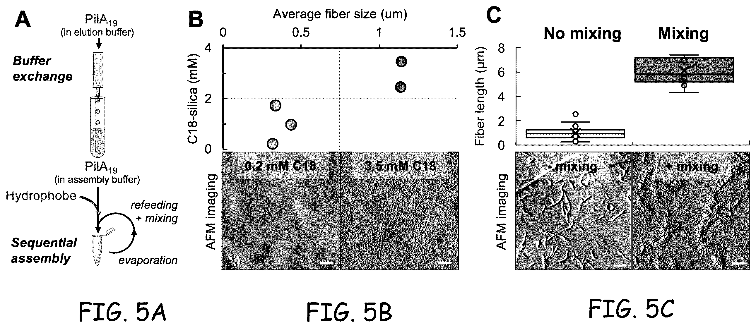Patent US12378290 Figure 5 – Method for protein nanowire synthesis and tunable control of nanowire length