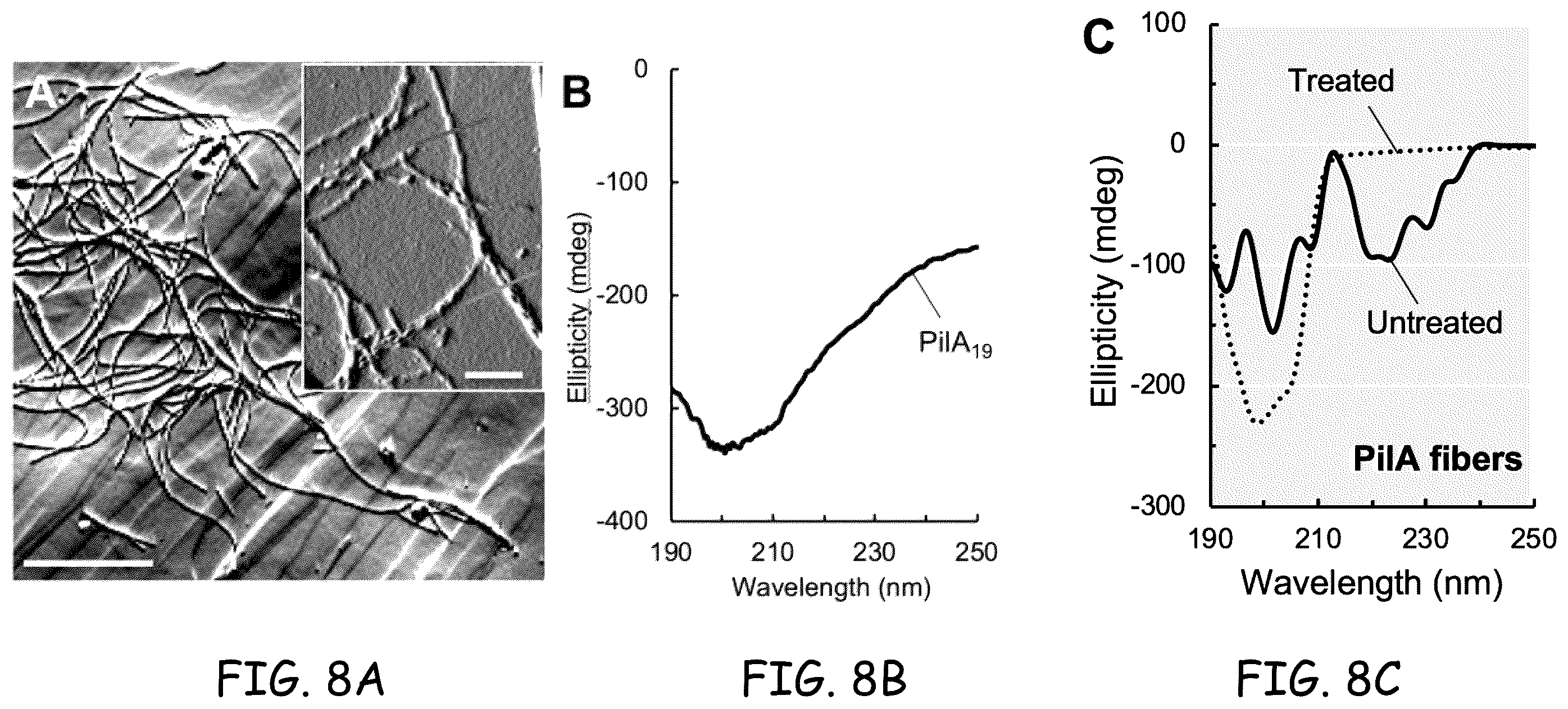 Patent US12378290 Figure 8 – Method for protein nanowire synthesis and tunable control of nanowire length