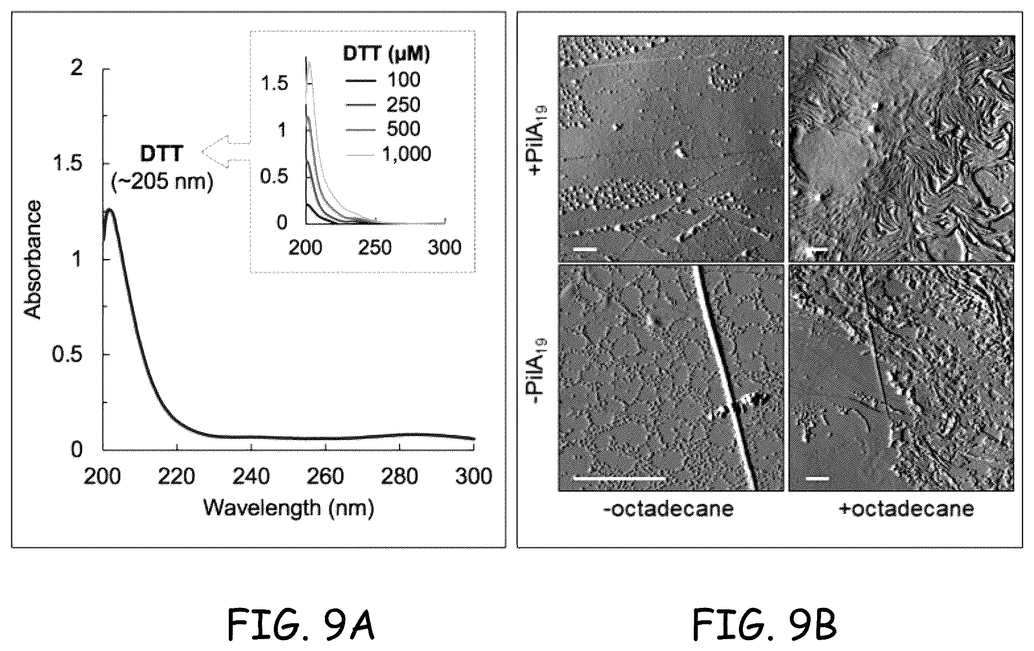 Patent US12378290 Figure 9 – Method for protein nanowire synthesis and tunable control of nanowire length
