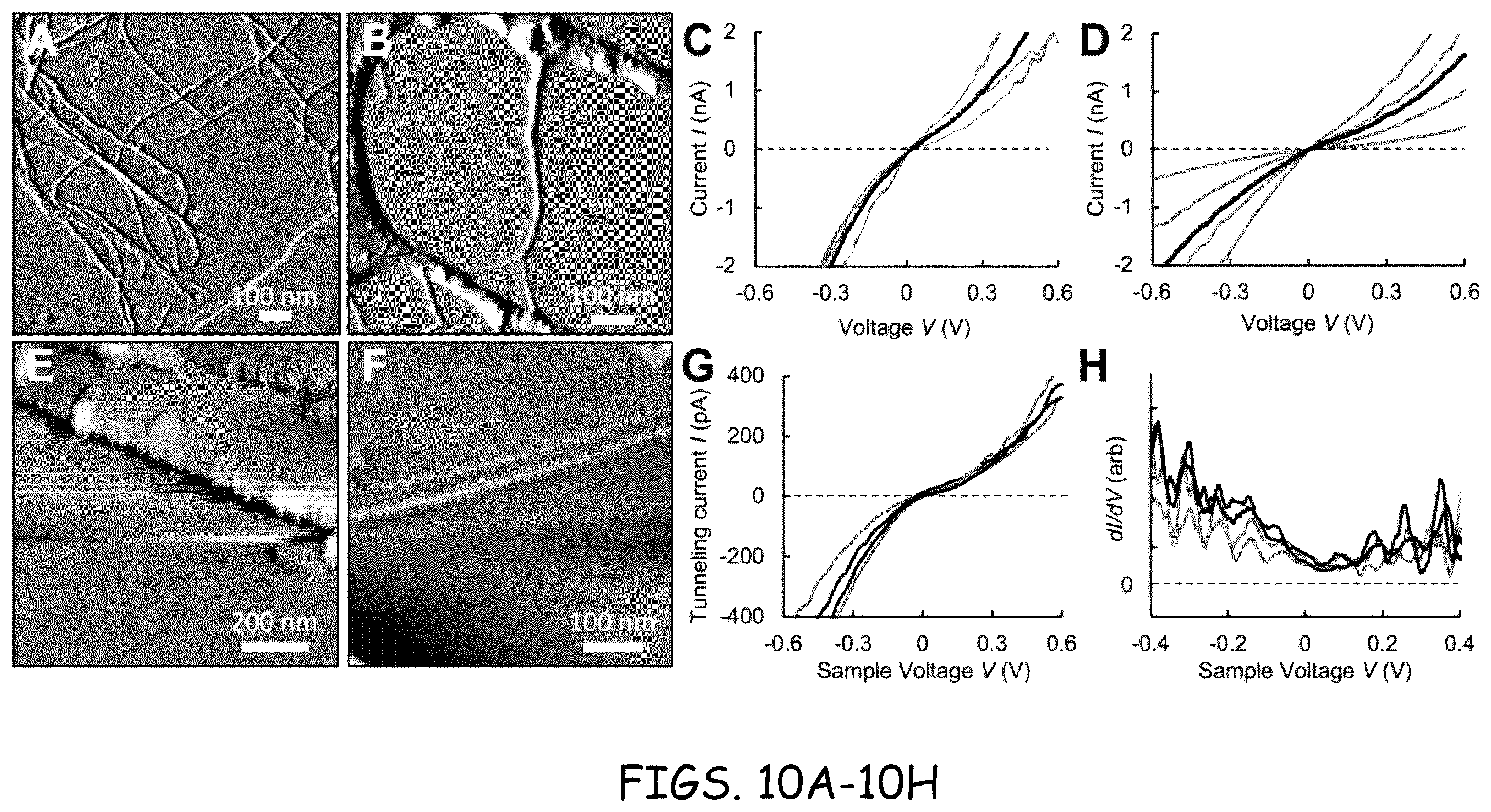 Patent US12378290 Figure 10 – Method for protein nanowire synthesis and tunable control of nanowire length