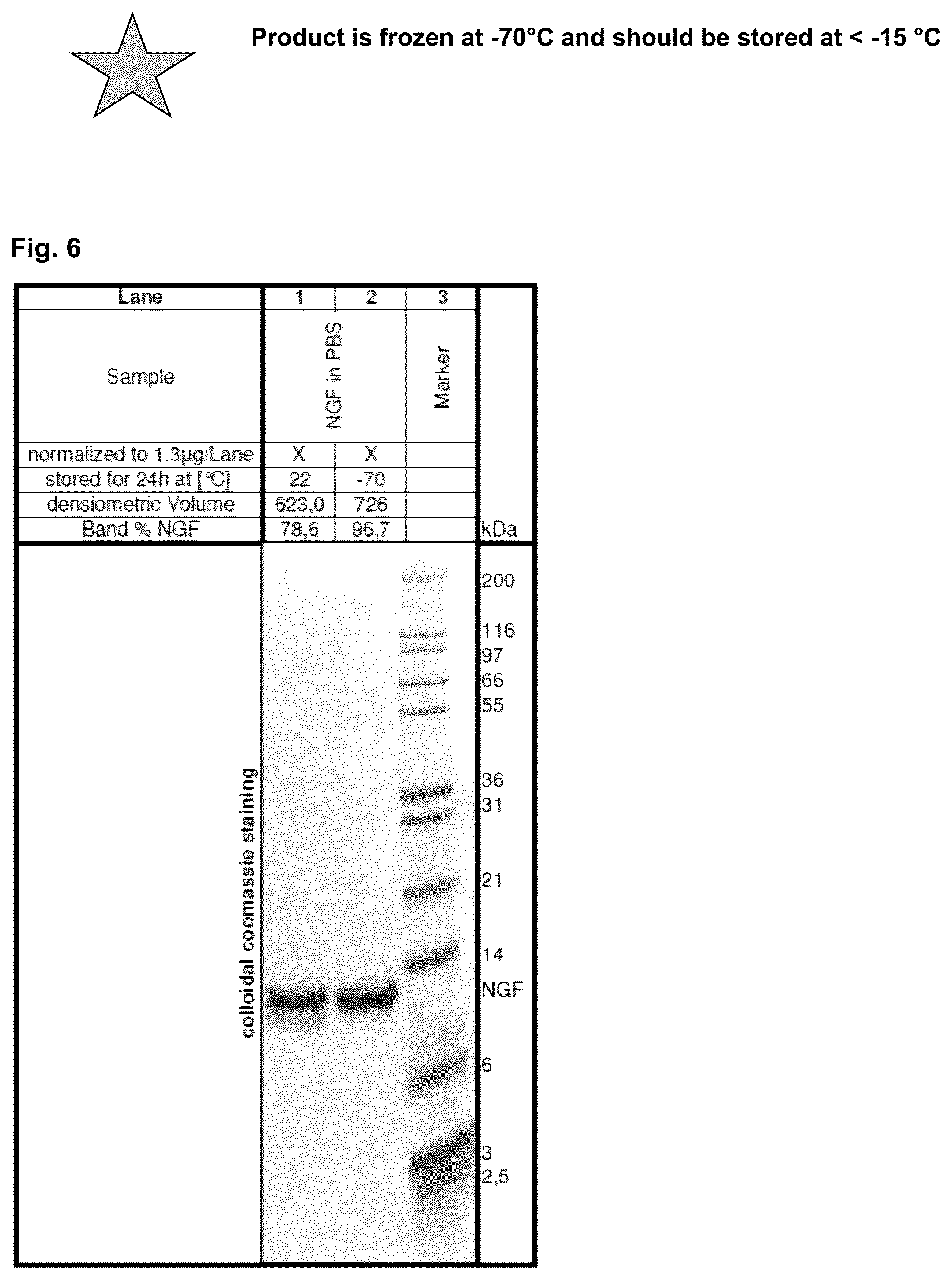 Patent US12378293 Figure 8 – Production of nerve growth factor (NGF) and of muteins thereof