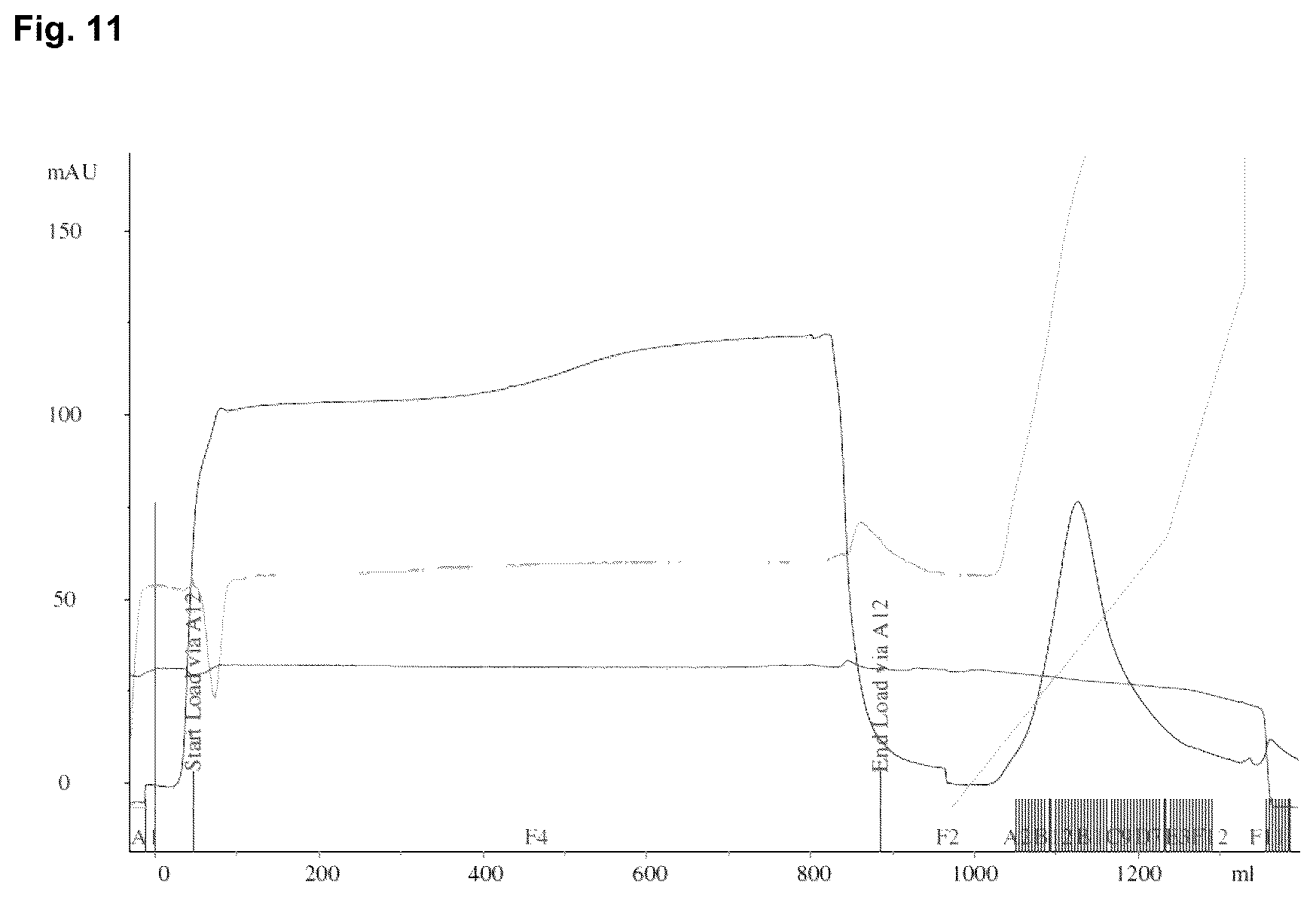 Patent US12378293 Figure 14 – Production of nerve growth factor (NGF) and of muteins thereof