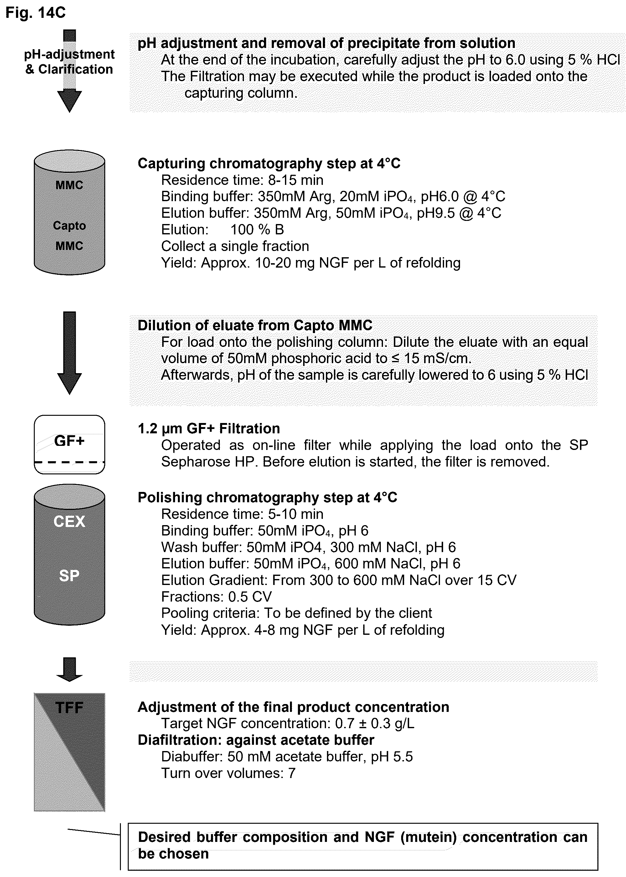 Patent US12378293 Figure 19 – Production of nerve growth factor (NGF) and of muteins thereof