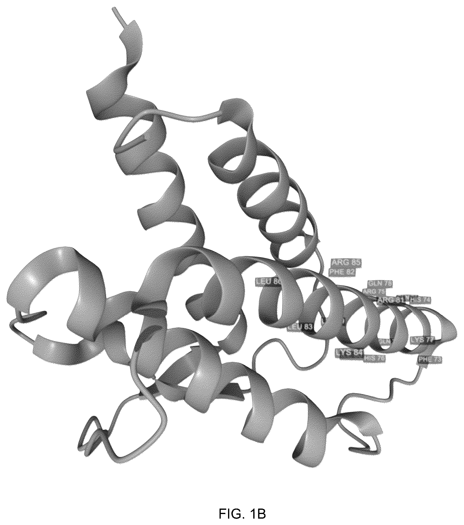 Patent US12378294 Figure 2 – IL-4 derived peptides for use in the treatment of obesity