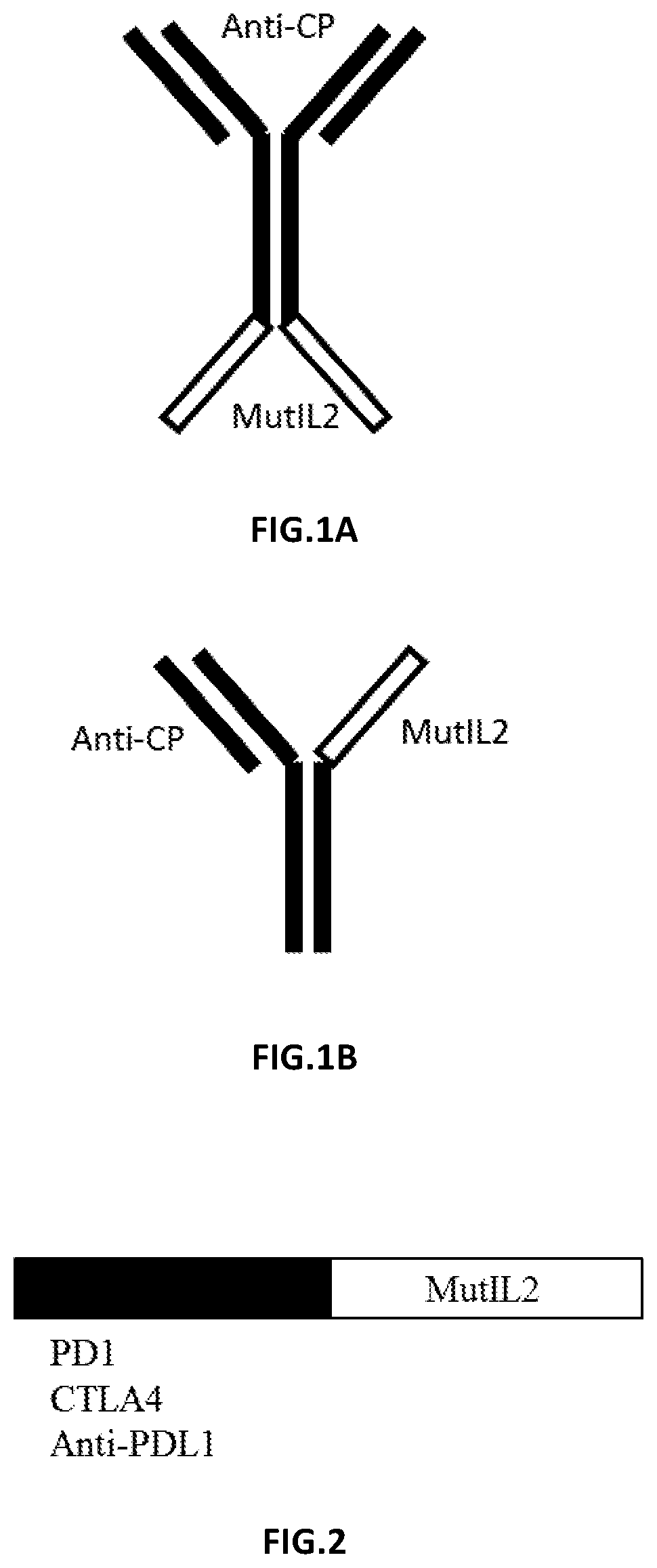 Patent US12378295 Figure 1 – Rationally designed protein compositions