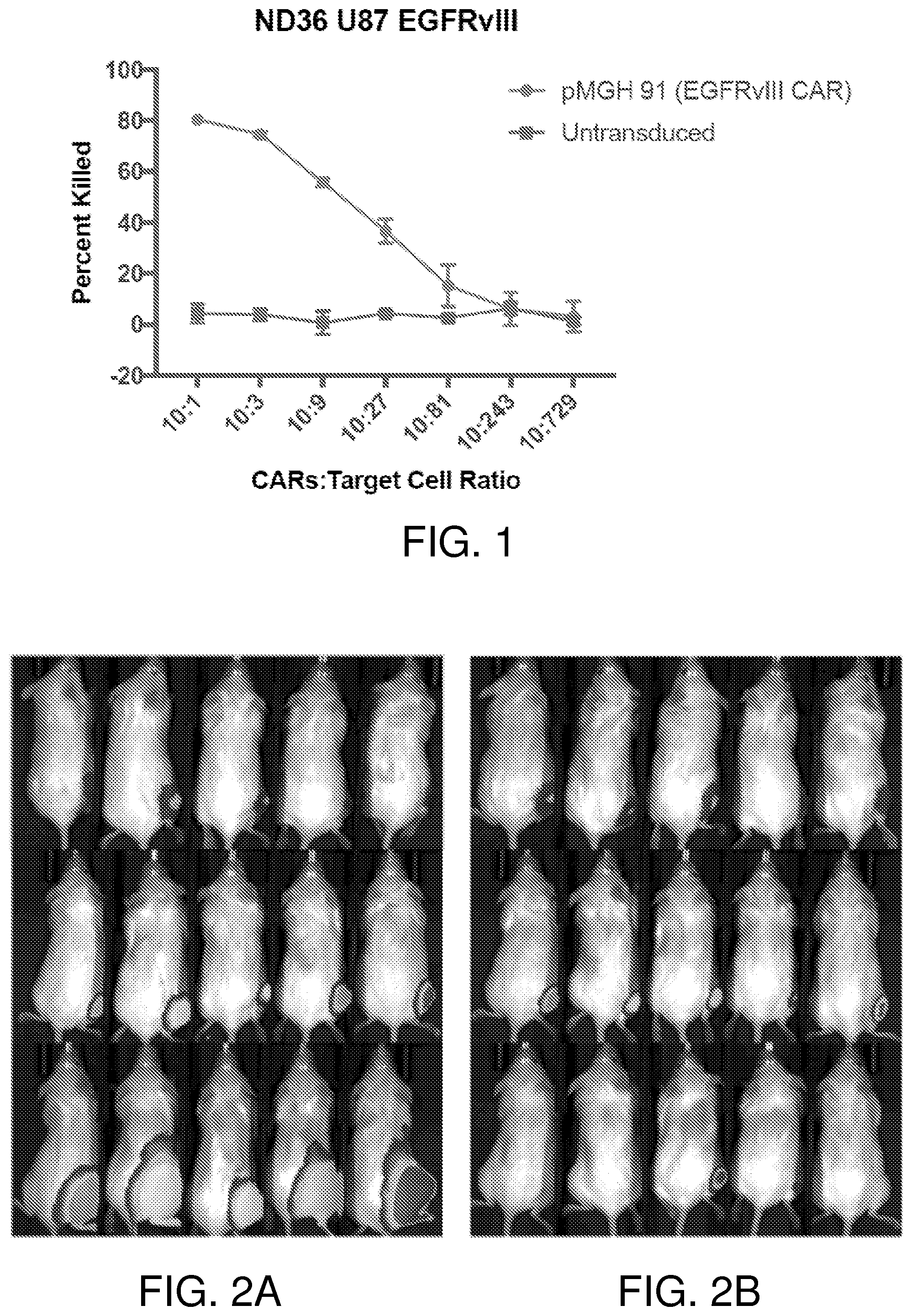 Patent US12378297 Figure 1 – Chimeric antigen receptor T cells targeting the tumor microenvironment