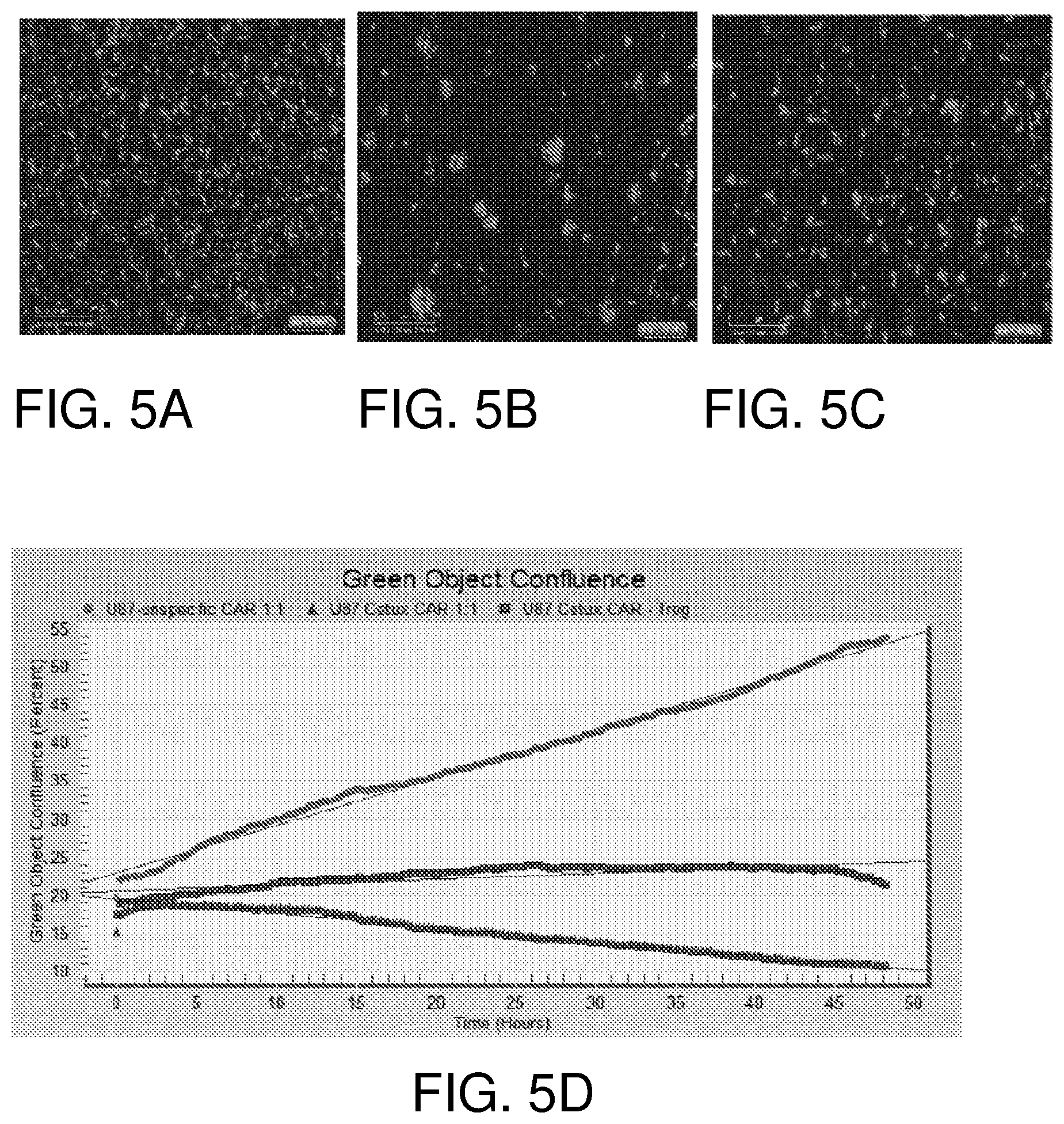 Patent US12378297 Figure 3 – Chimeric antigen receptor T cells targeting the tumor microenvironment