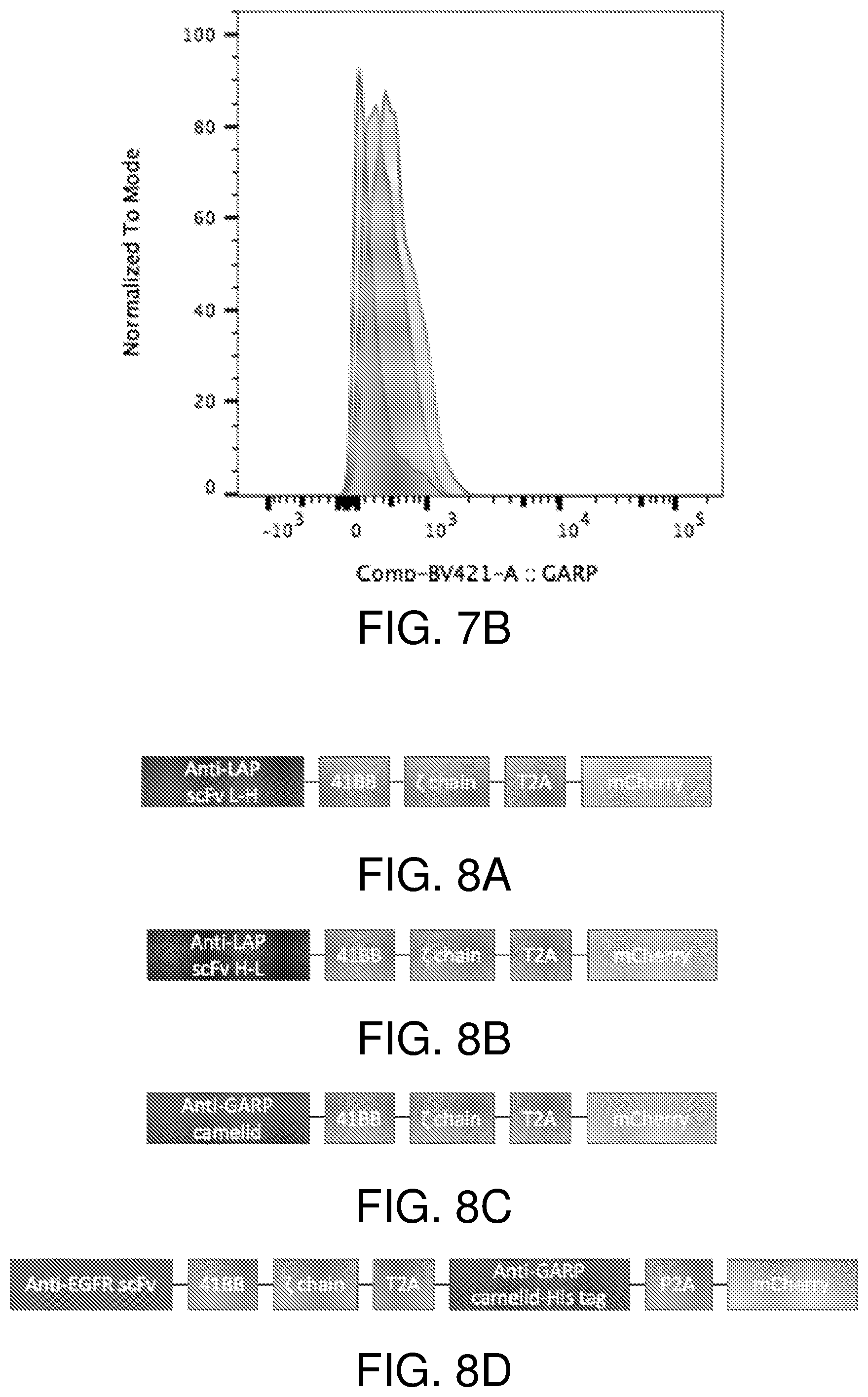 Patent US12378297 Figure 6 – Chimeric antigen receptor T cells targeting the tumor microenvironment