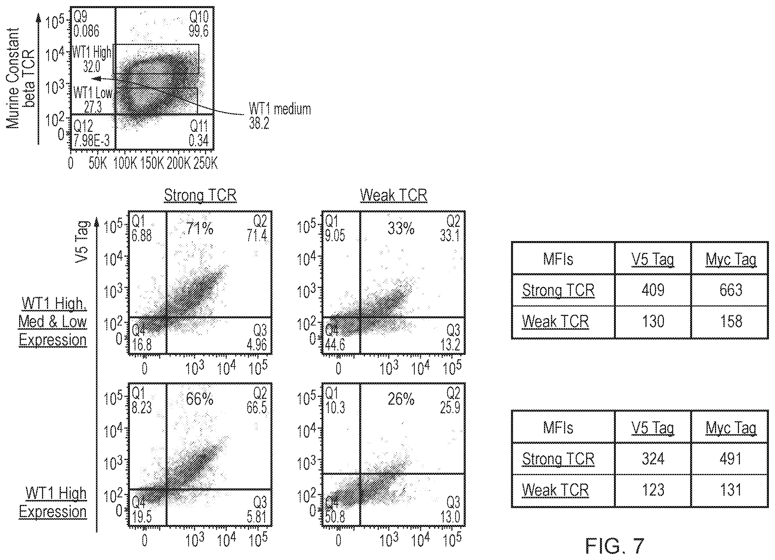 Patent US12378298 Figure 7 – T cell receptor