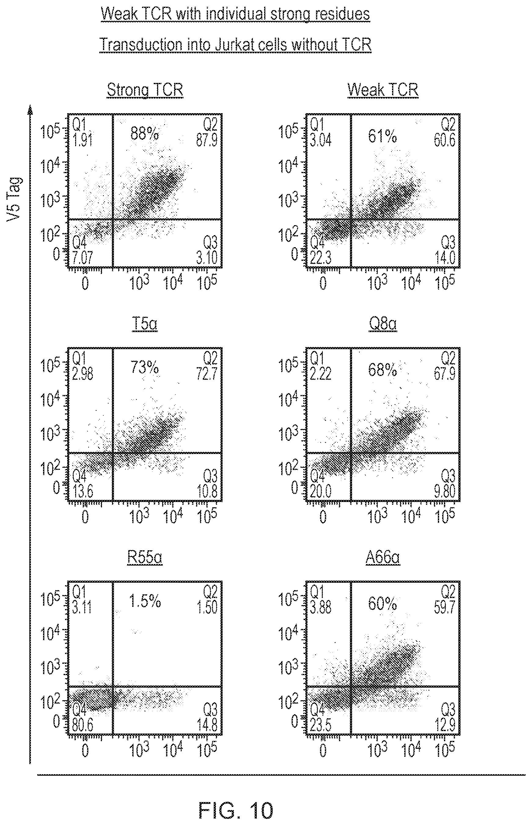 Patent US12378298 Figure 11 – T cell receptor