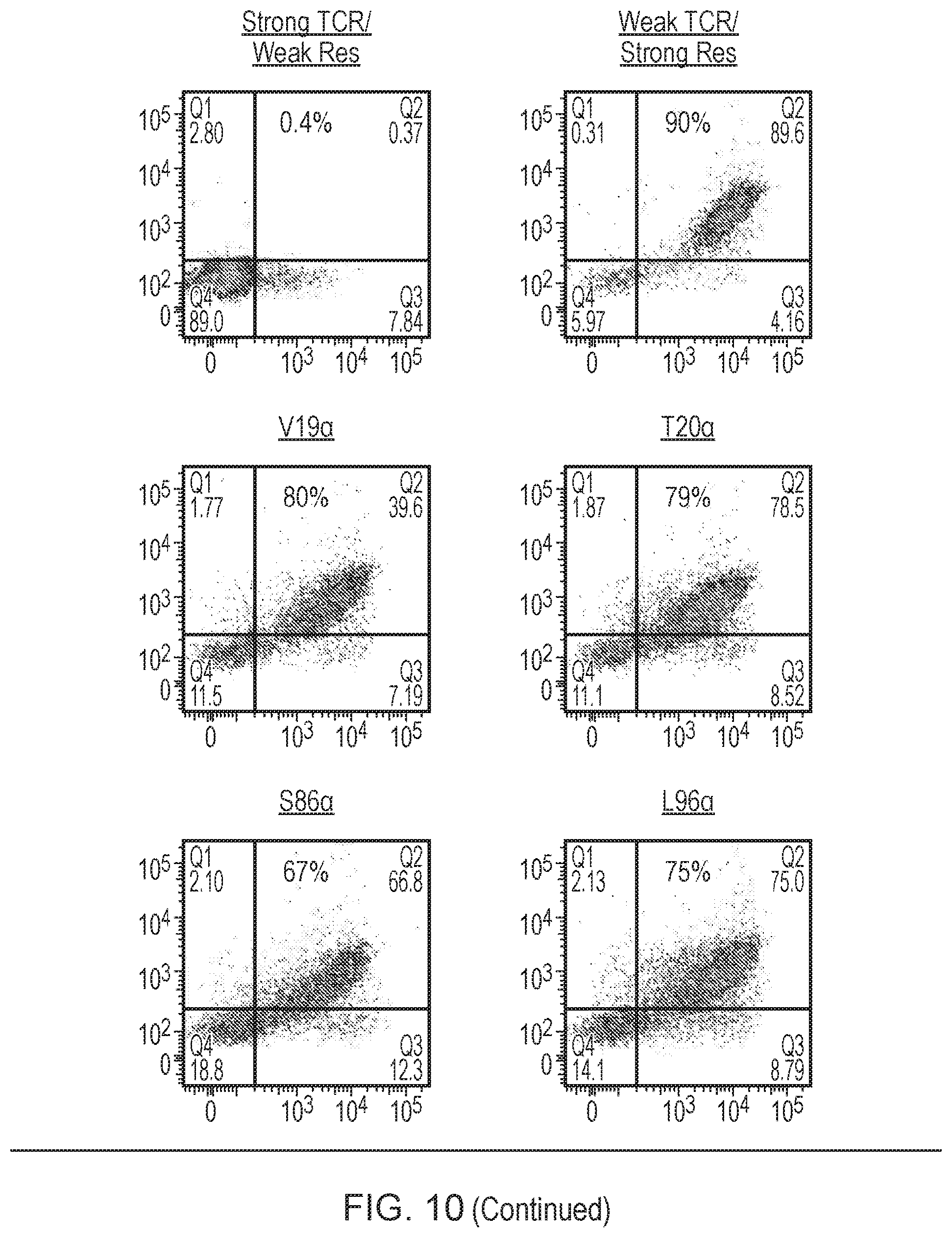 Patent US12378298 Figure 12 – T cell receptor