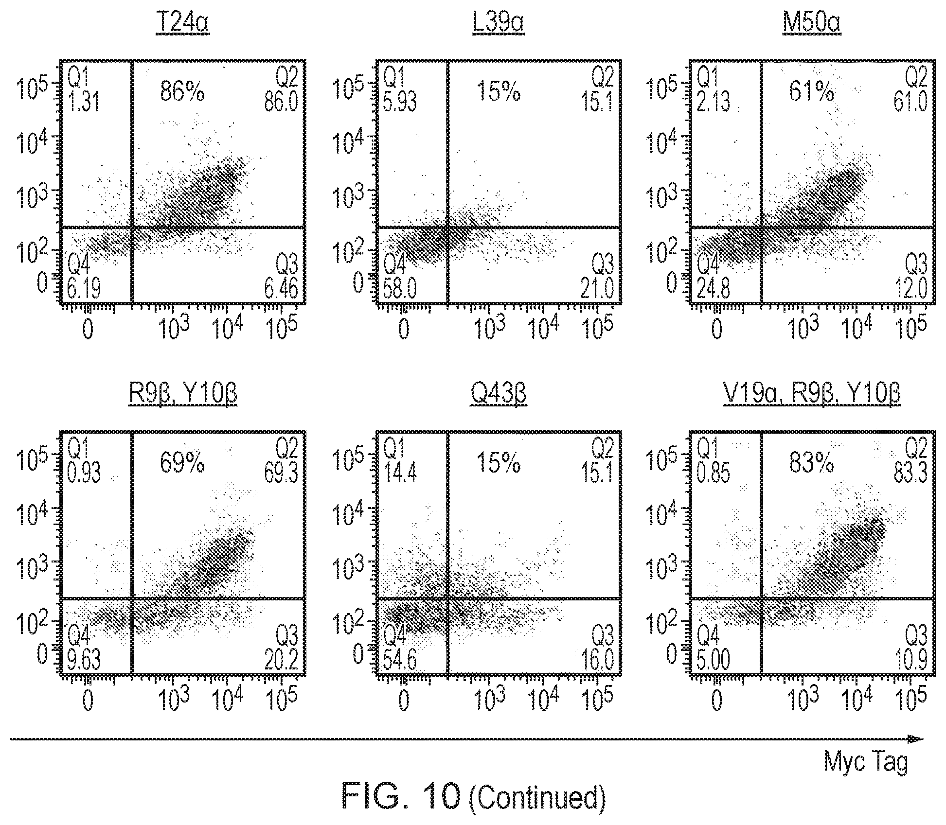 Patent US12378298 Figure 13 – T cell receptor