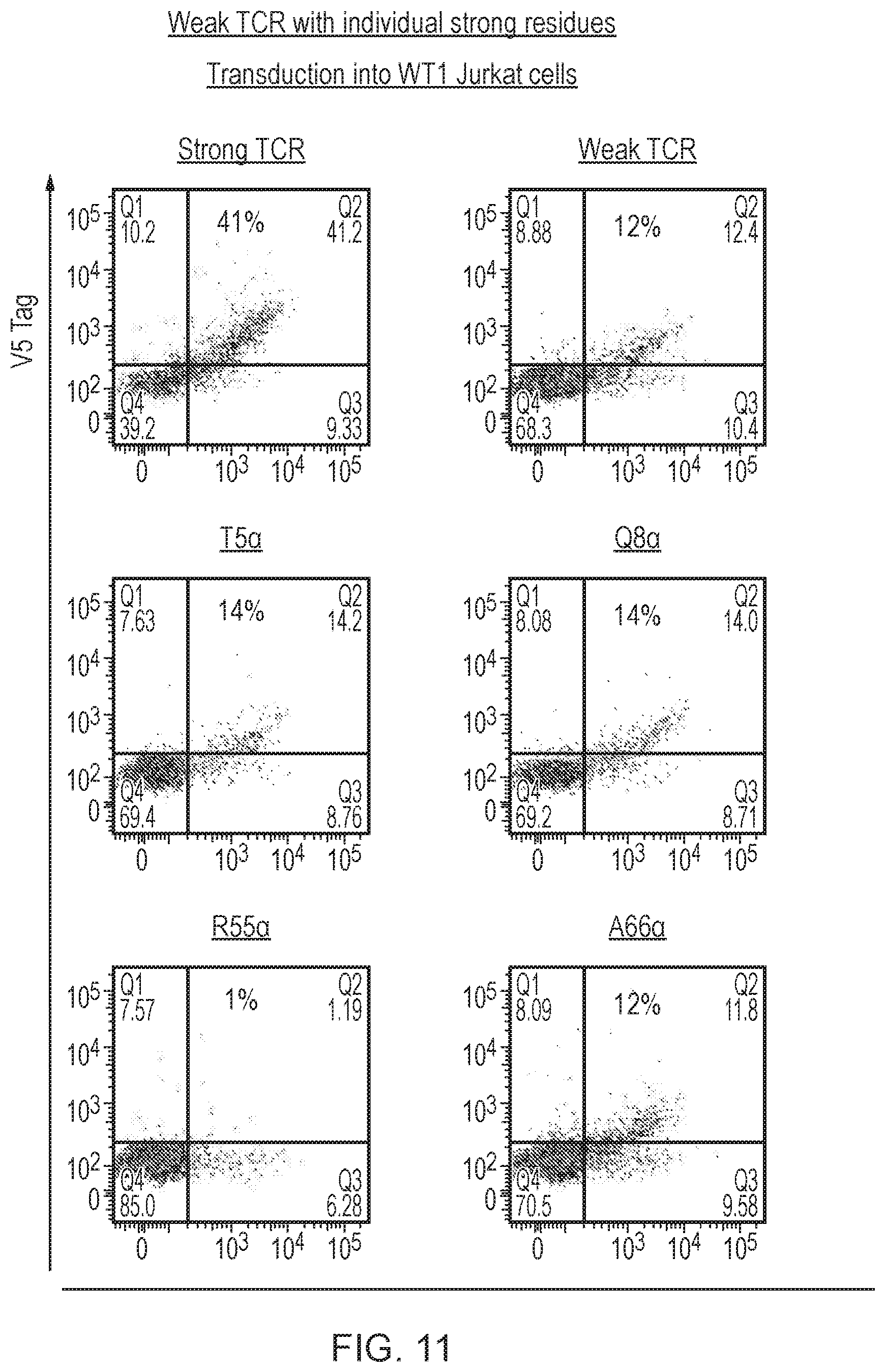 Patent US12378298 Figure 15 – T cell receptor