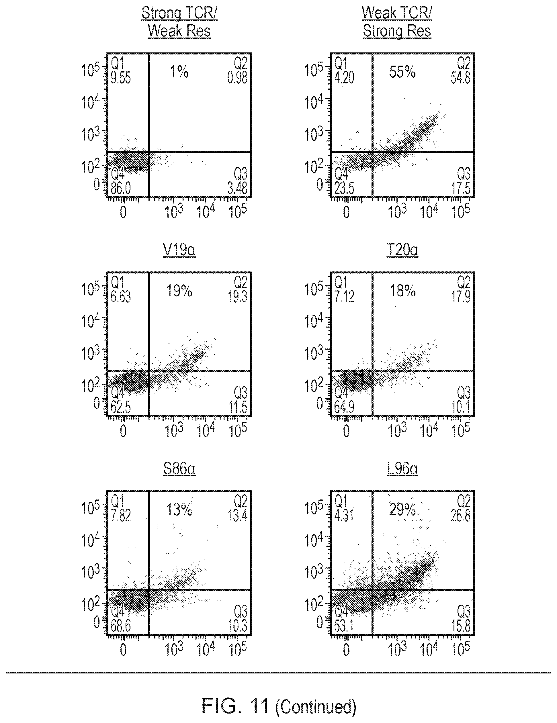 Patent US12378298 Figure 16 – T cell receptor