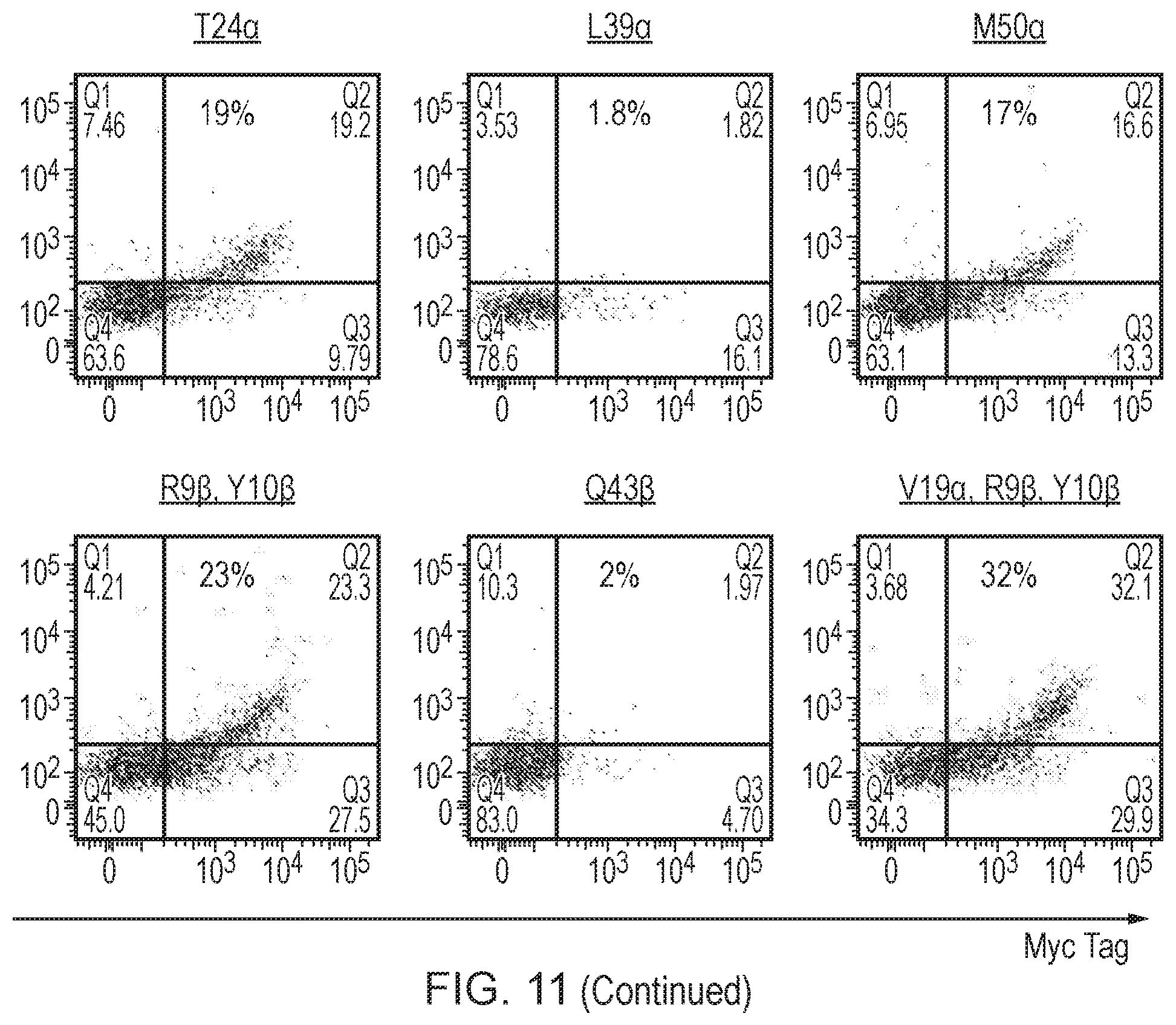 Patent US12378298 Figure 17 – T cell receptor