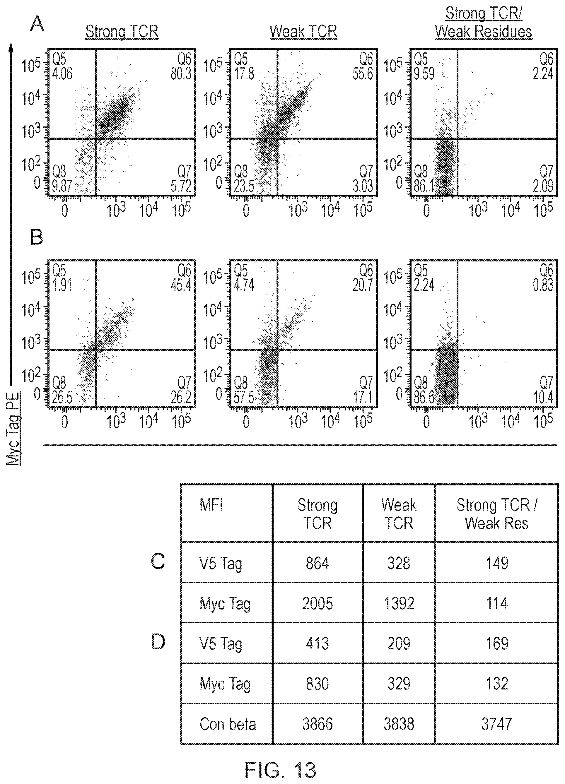Patent US12378298 Figure 20 – T cell receptor