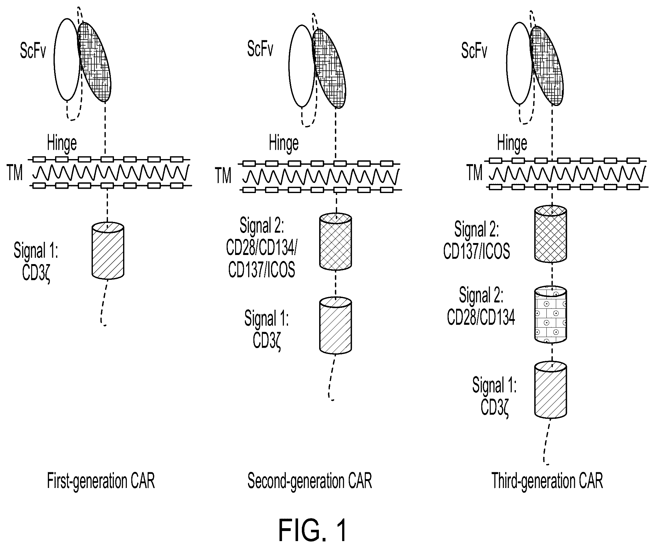 Patent US12378300 Figure 1 – Elimination of CD19-positive lymphoid malignancies by CD19-car expressing NK cells