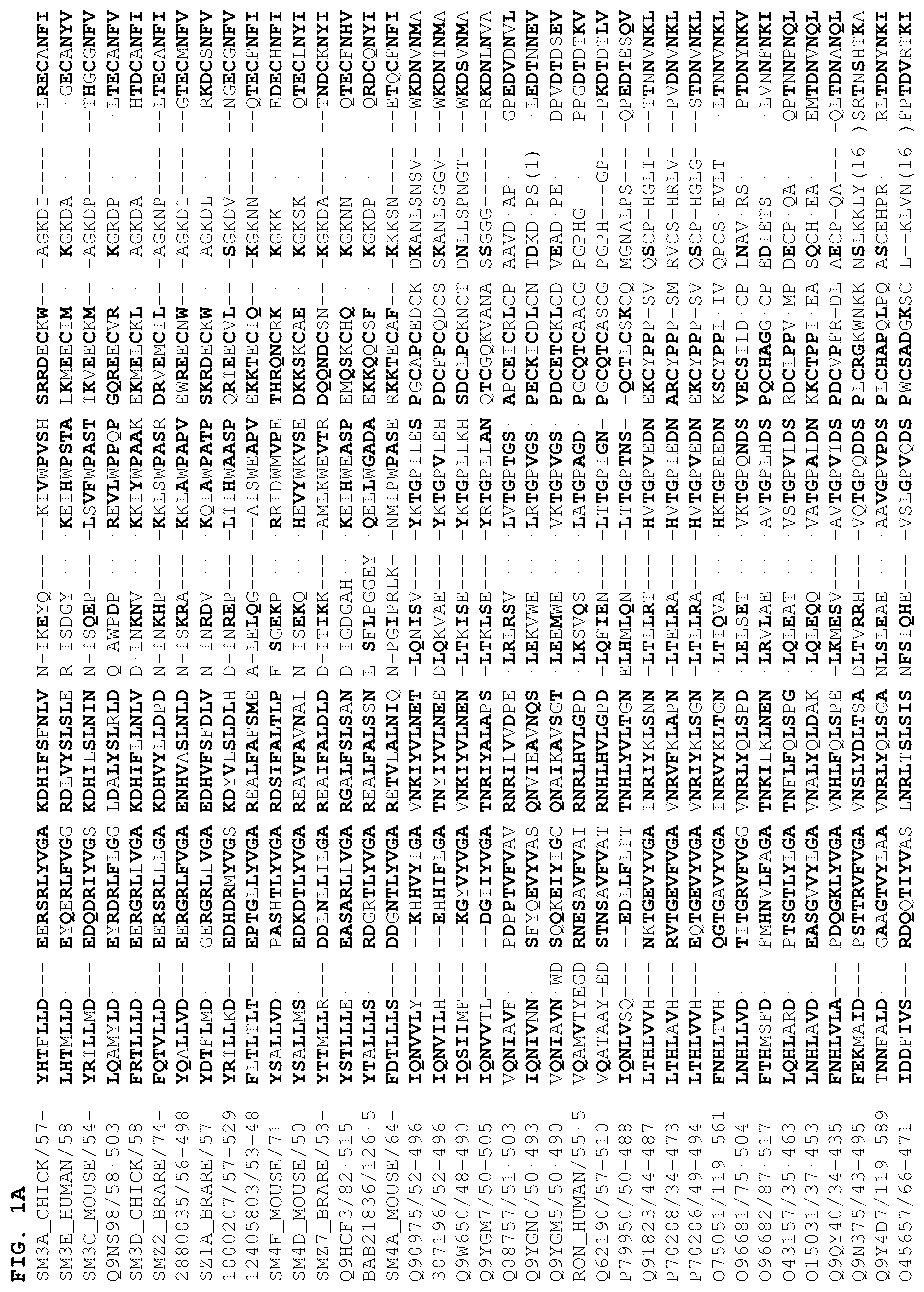 Patent US12378301 Figure 1 – B1SP fusion protein therapeutics, methods, and uses
