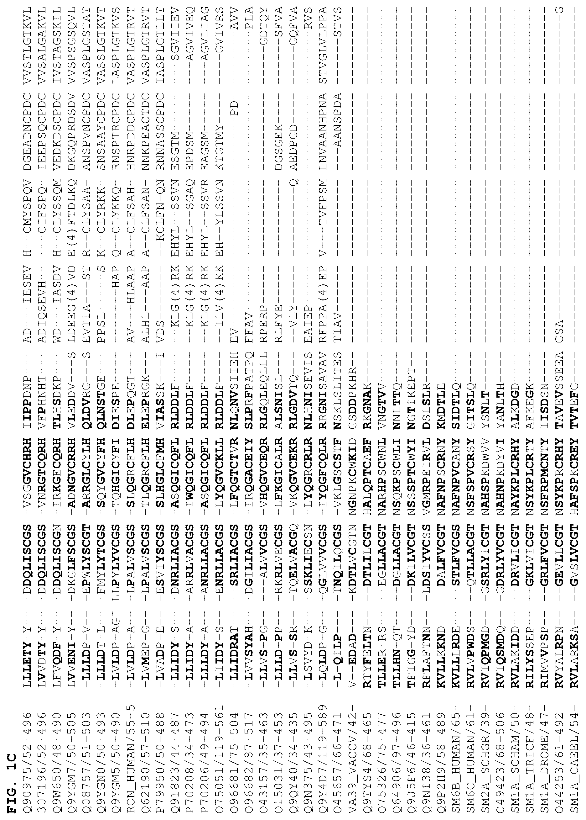 Patent US12378301 Figure 3 – B1SP fusion protein therapeutics, methods, and uses