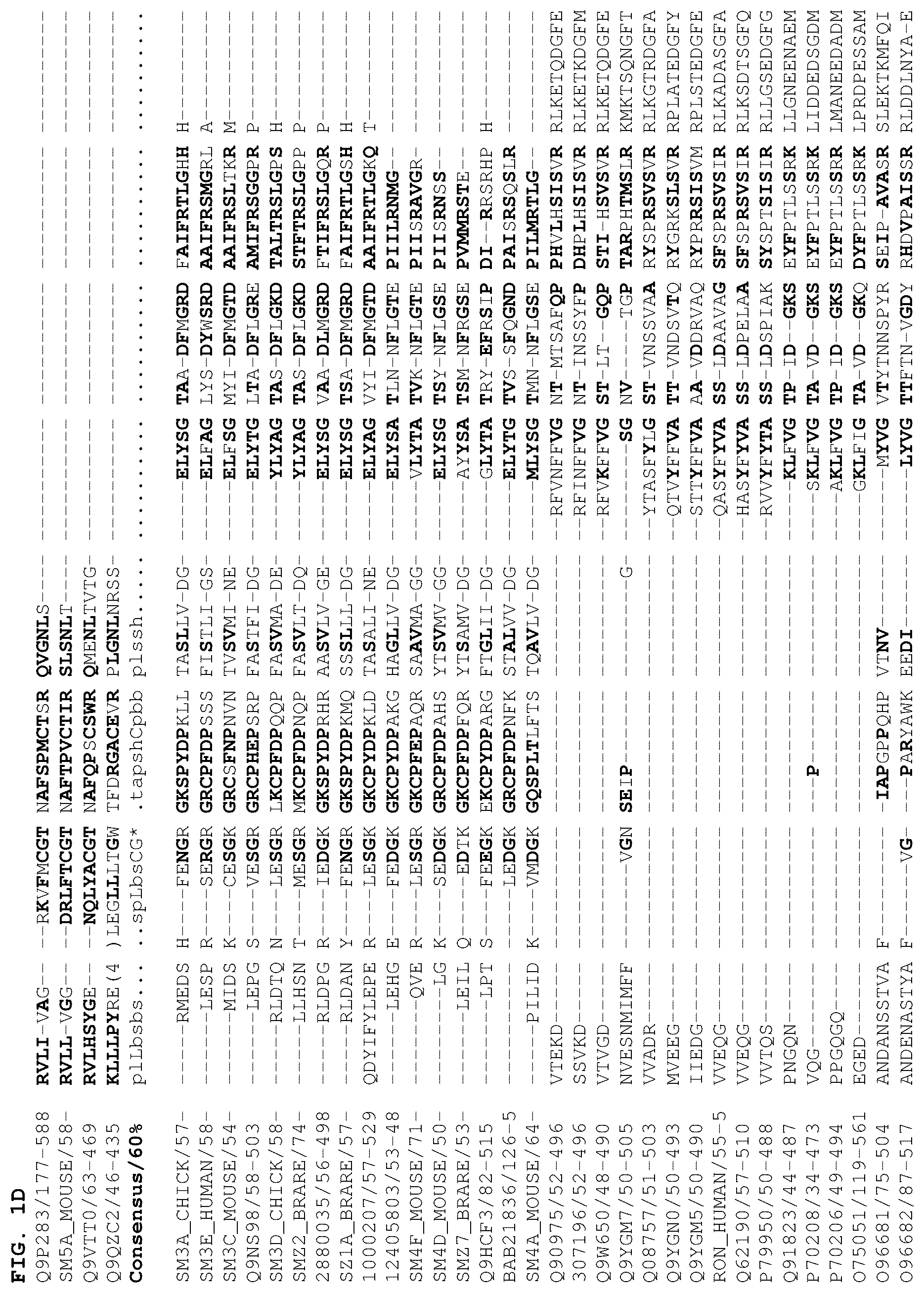 Patent US12378301 Figure 4 – B1SP fusion protein therapeutics, methods, and uses