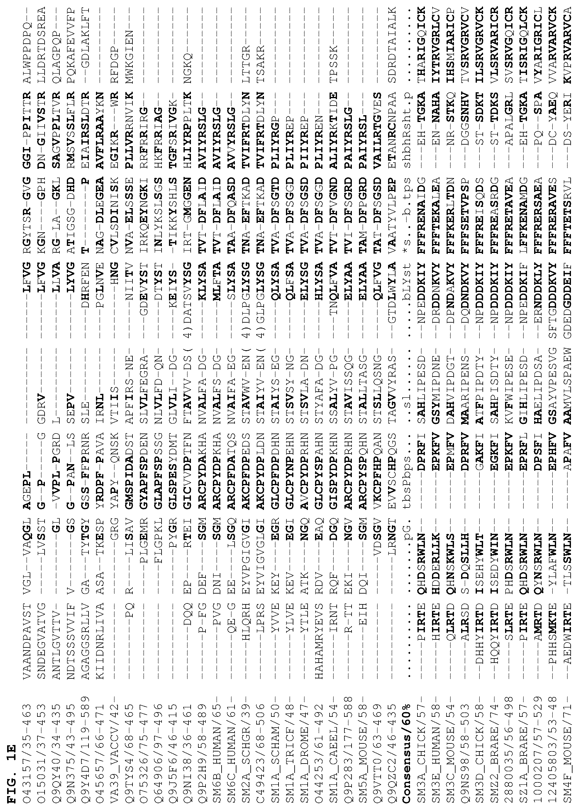 Patent US12378301 Figure 5 – B1SP fusion protein therapeutics, methods, and uses