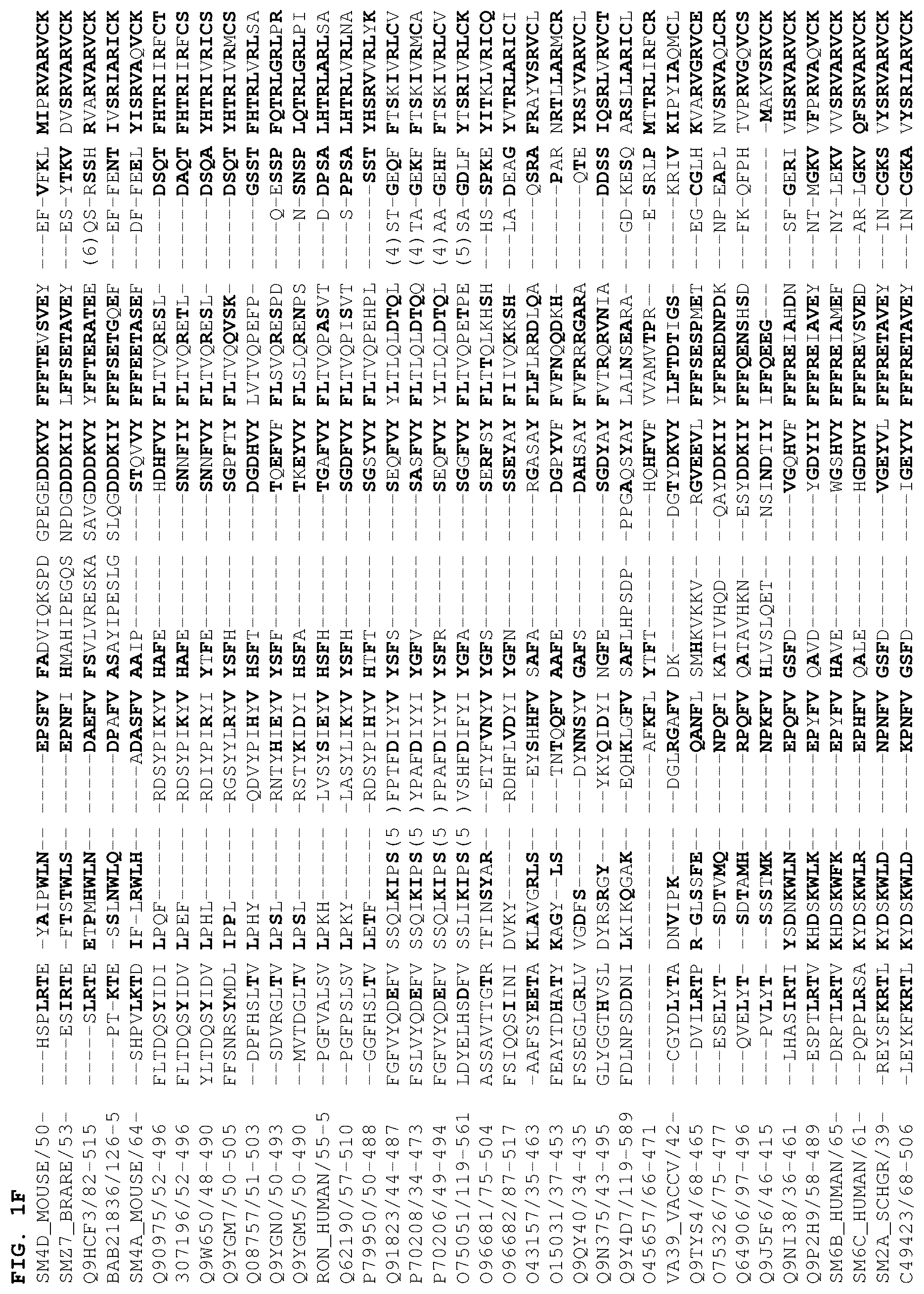 Patent US12378301 Figure 6 – B1SP fusion protein therapeutics, methods, and uses
