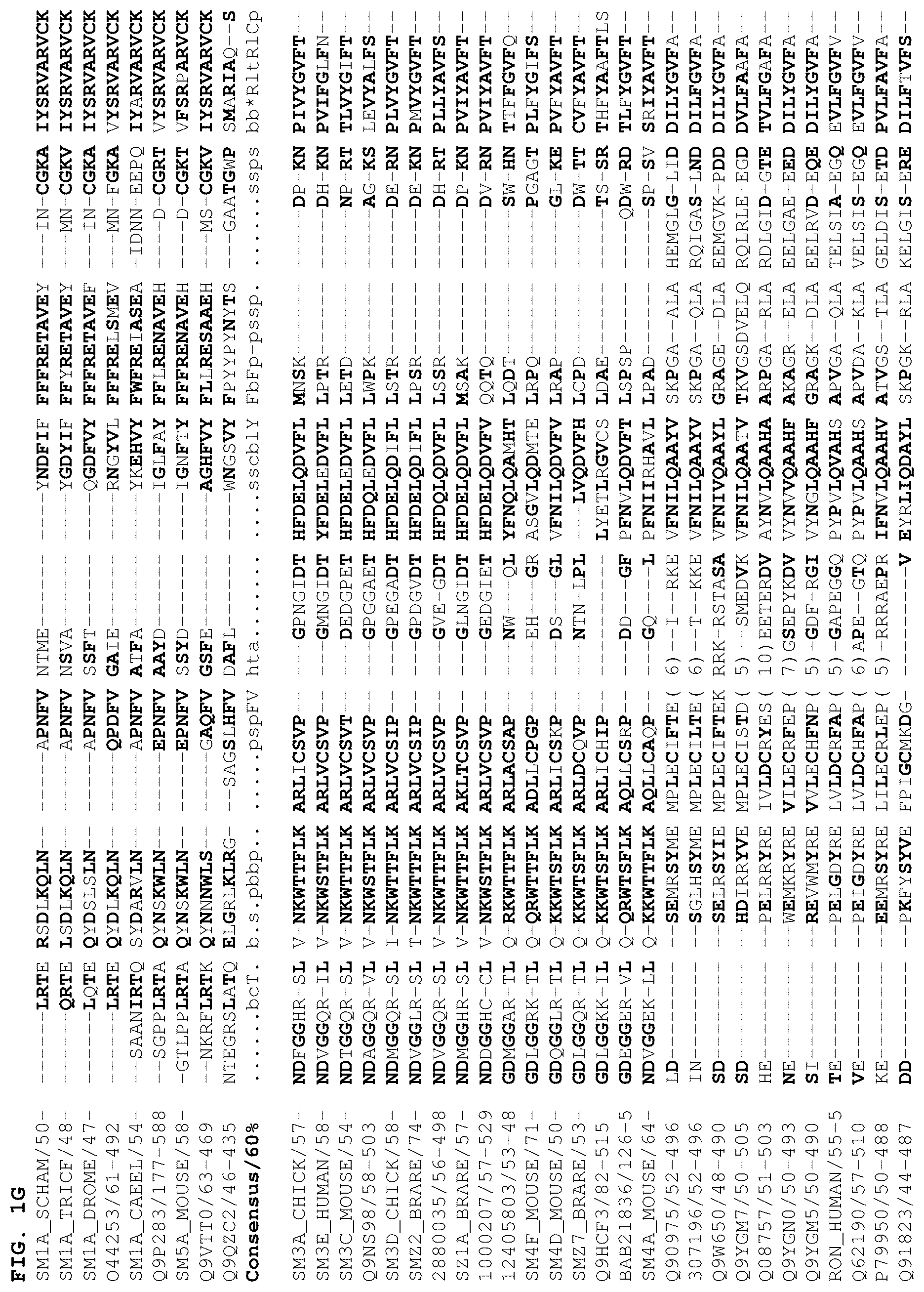Patent US12378301 Figure 7 – B1SP fusion protein therapeutics, methods, and uses