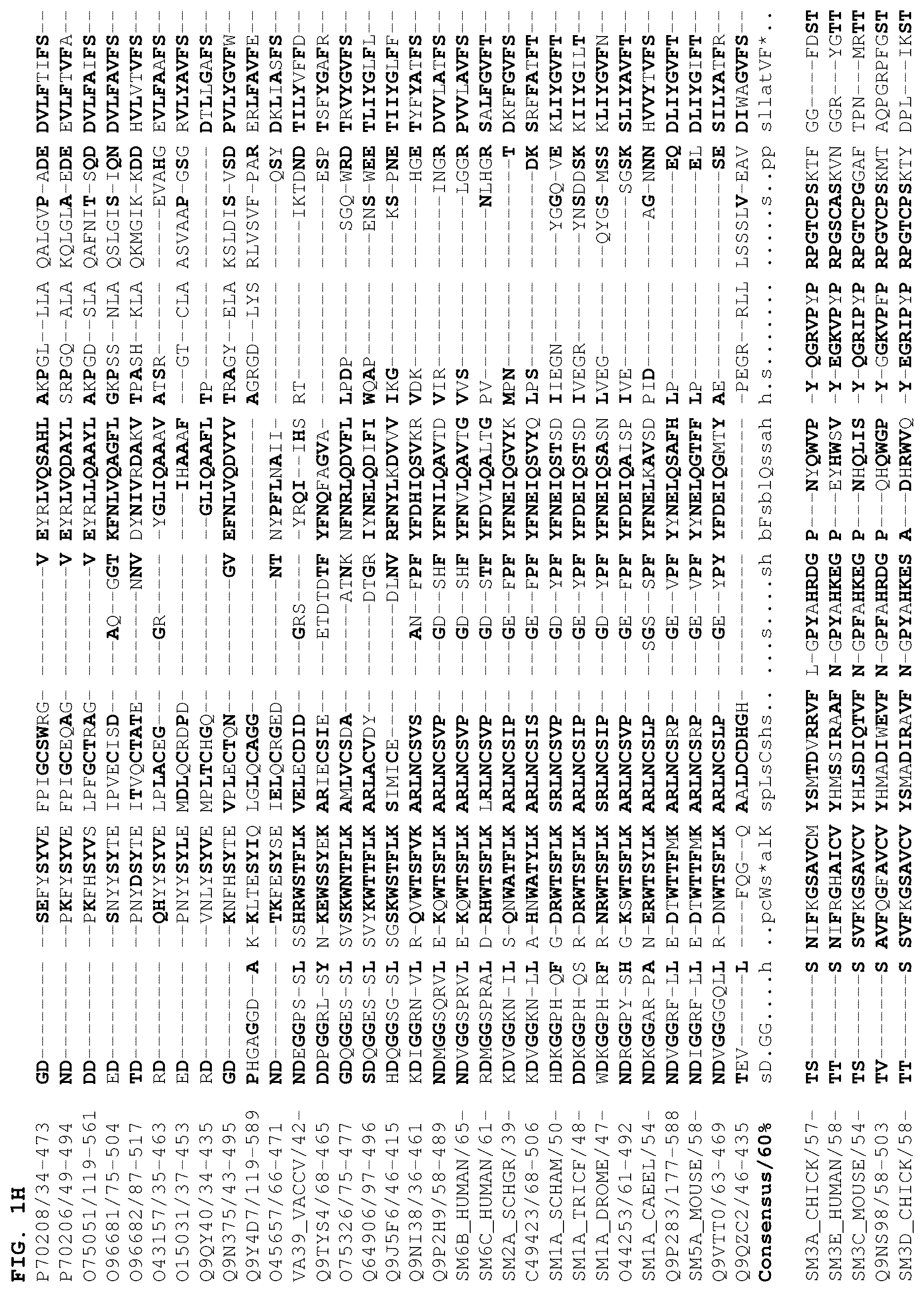 Patent US12378301 Figure 8 – B1SP fusion protein therapeutics, methods, and uses