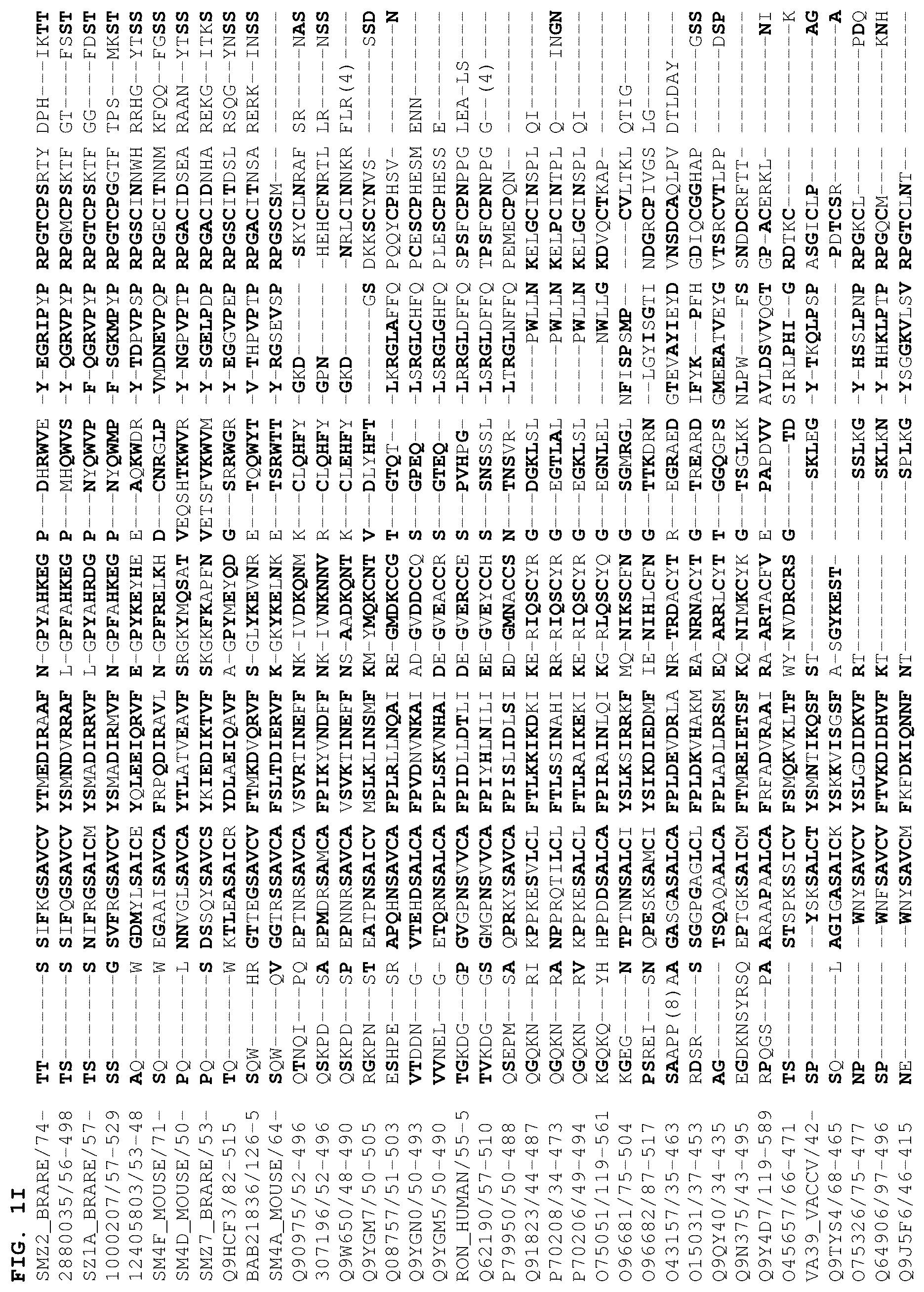 Patent US12378301 Figure 9 – B1SP fusion protein therapeutics, methods, and uses